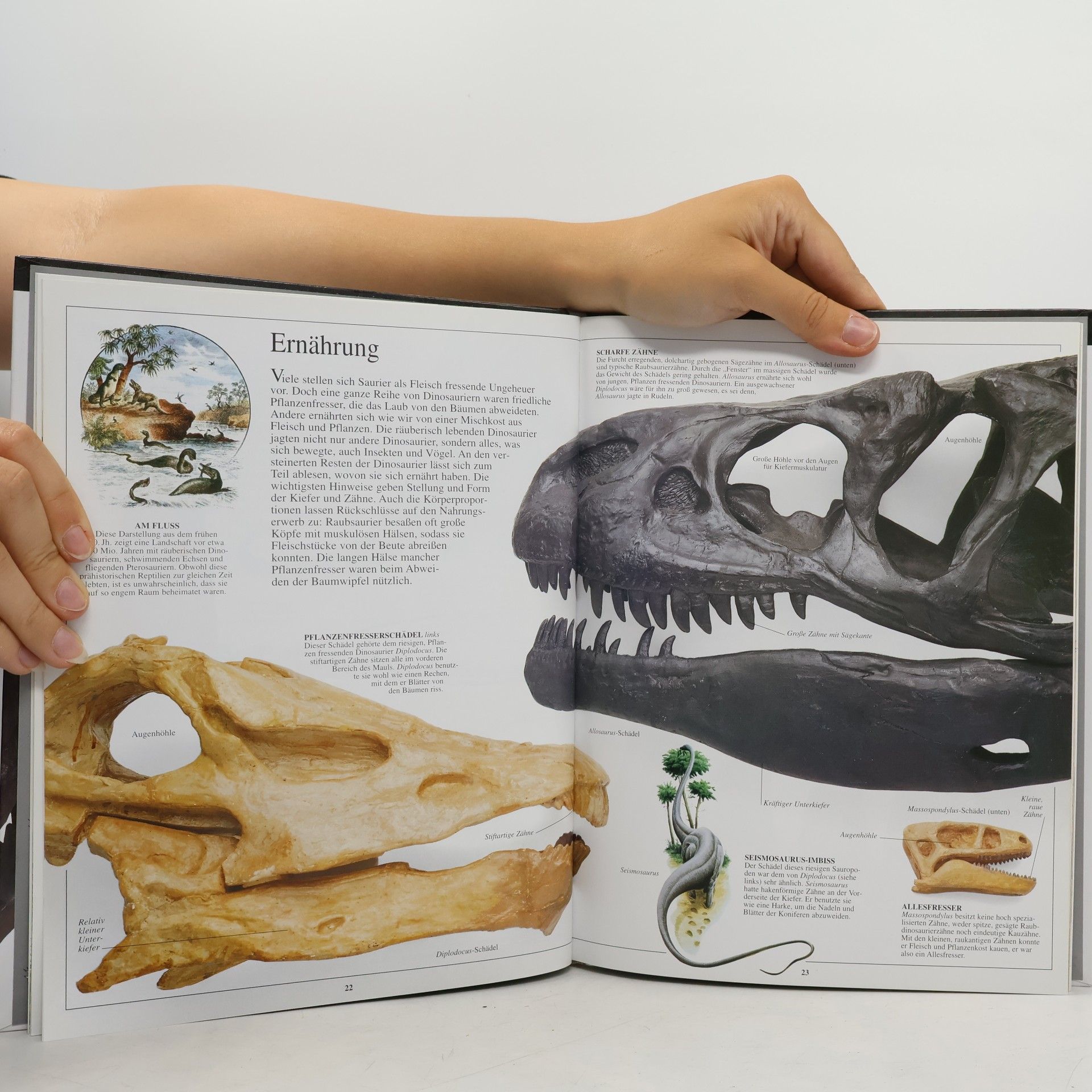 Kolektív autorov Dinosaurier