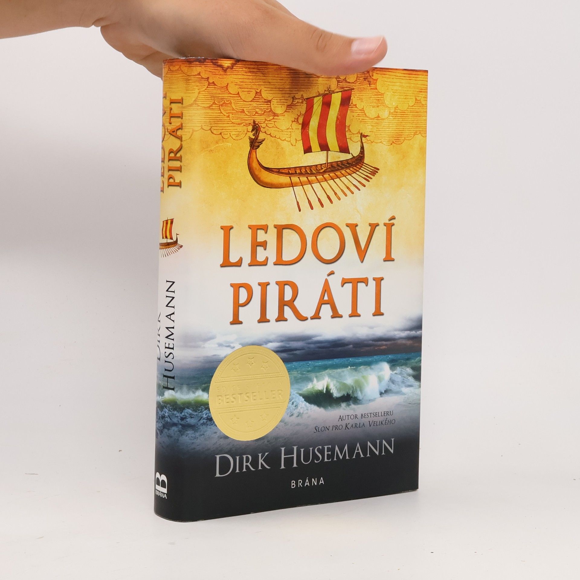 Dirk Husemann Ledoví piráti