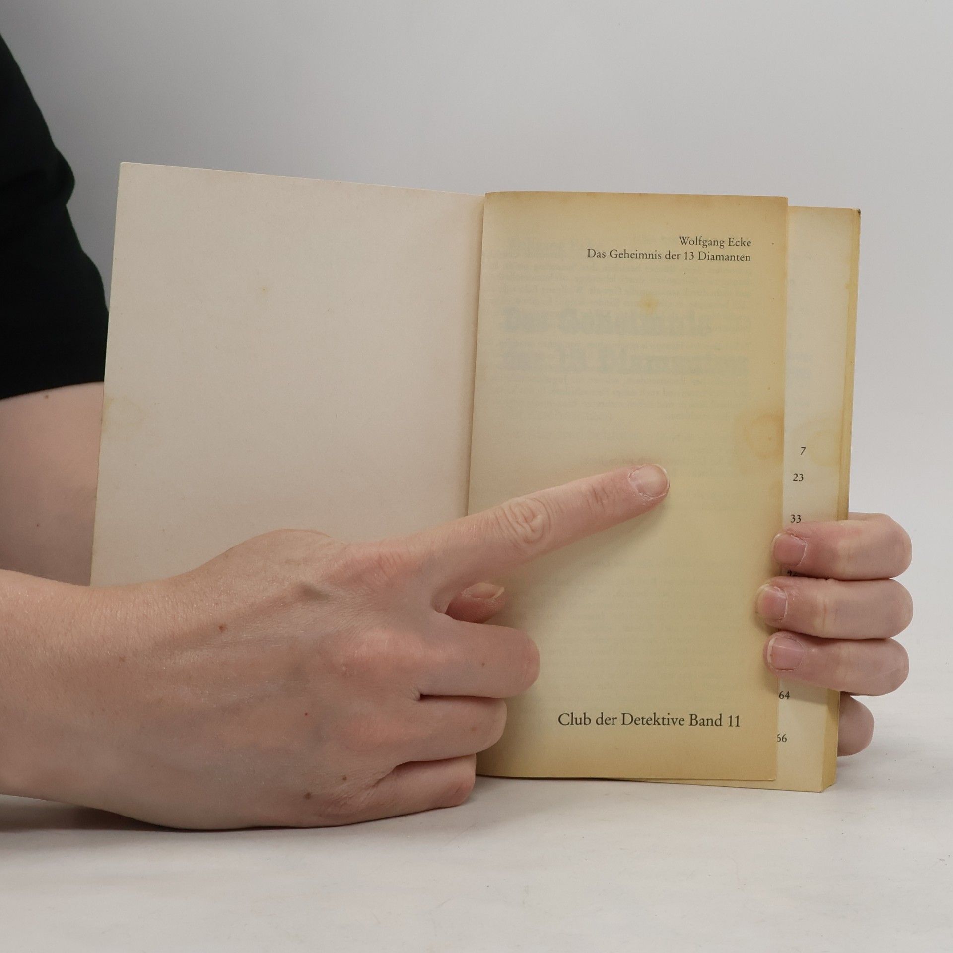 Wolfgang Ecke Das Geheimnis der dreizehn Diamanten.