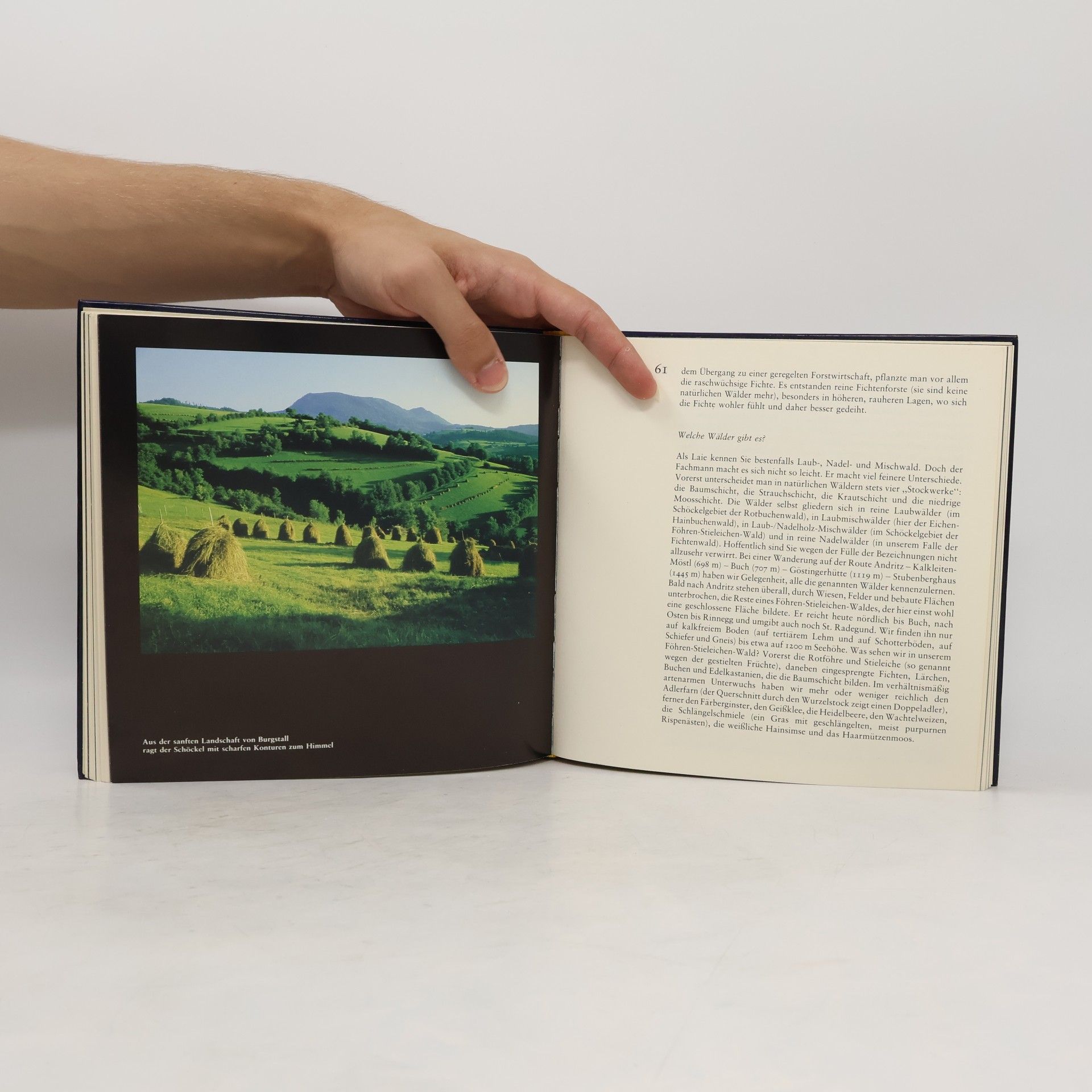 Edith Münzer Das Buch vom Schöckel