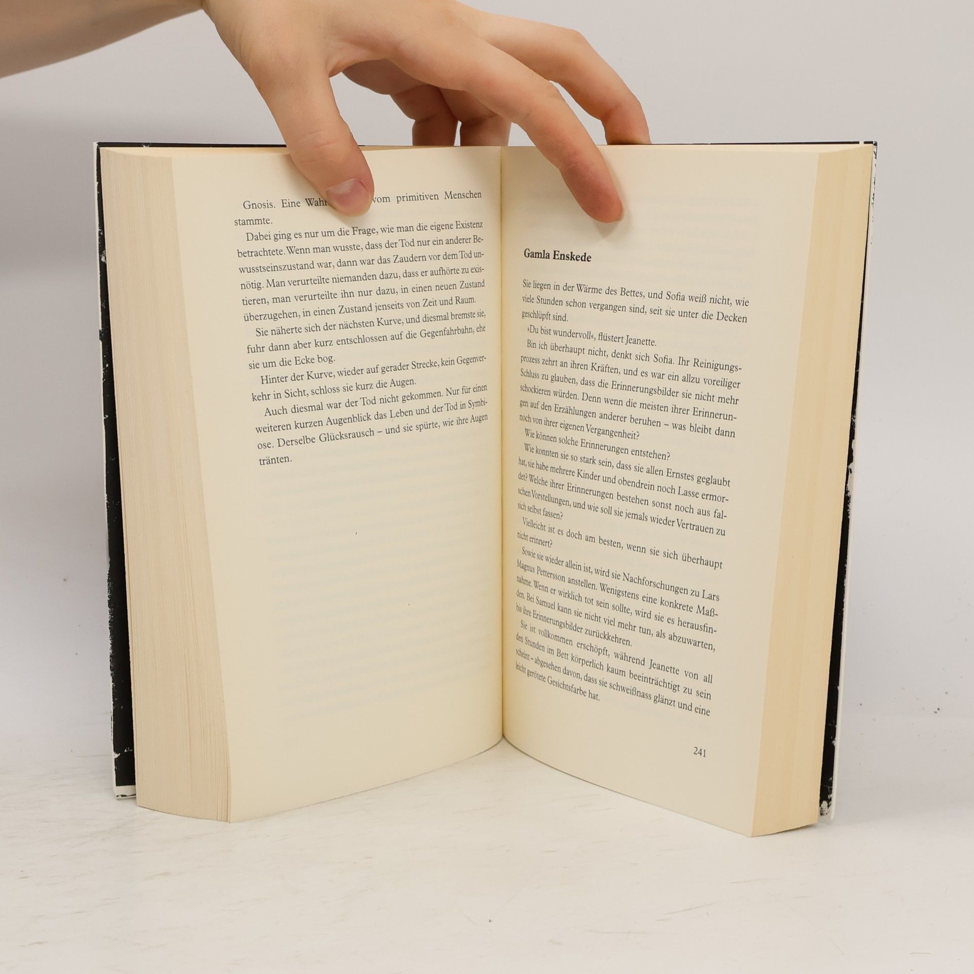 Erik Axl Sund Schattenschrei