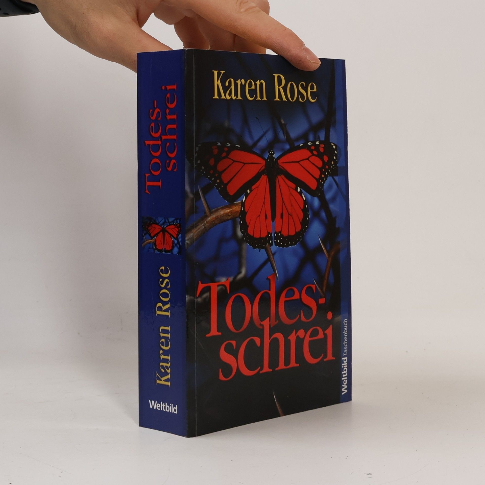 Karen Rose Todesschrei