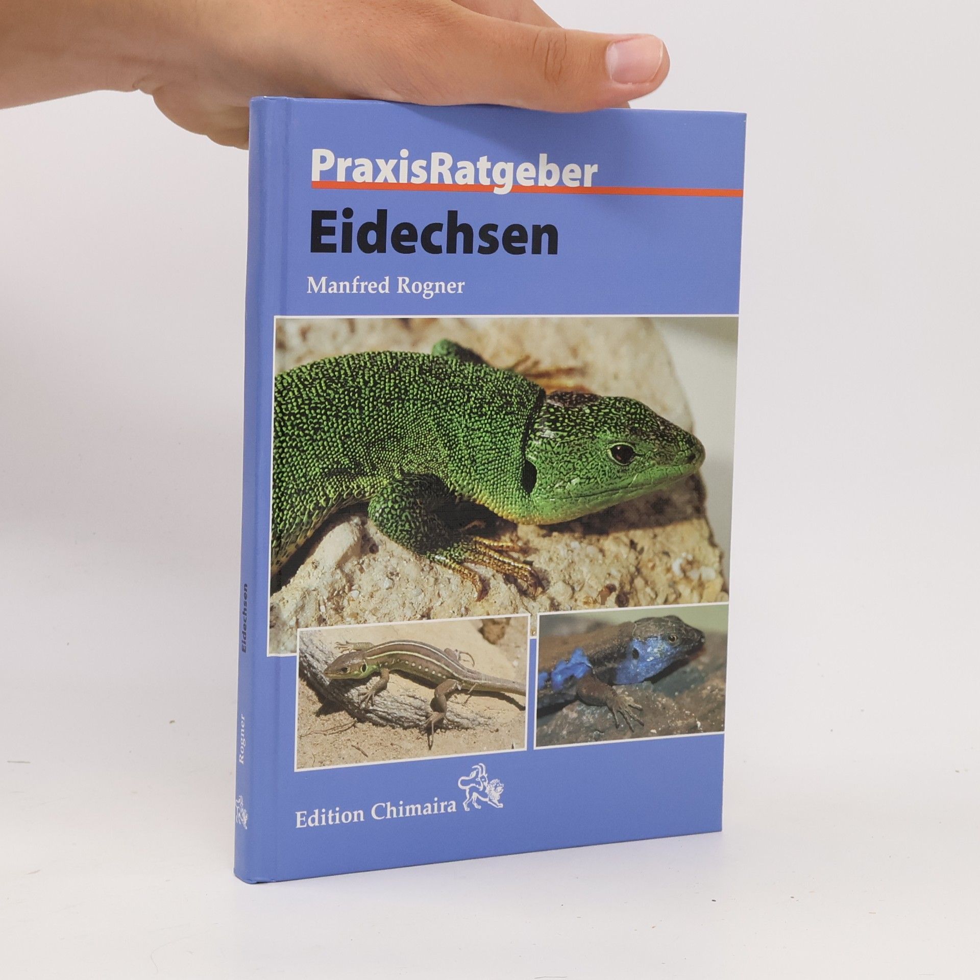 Manfred Rogner Eidechsen