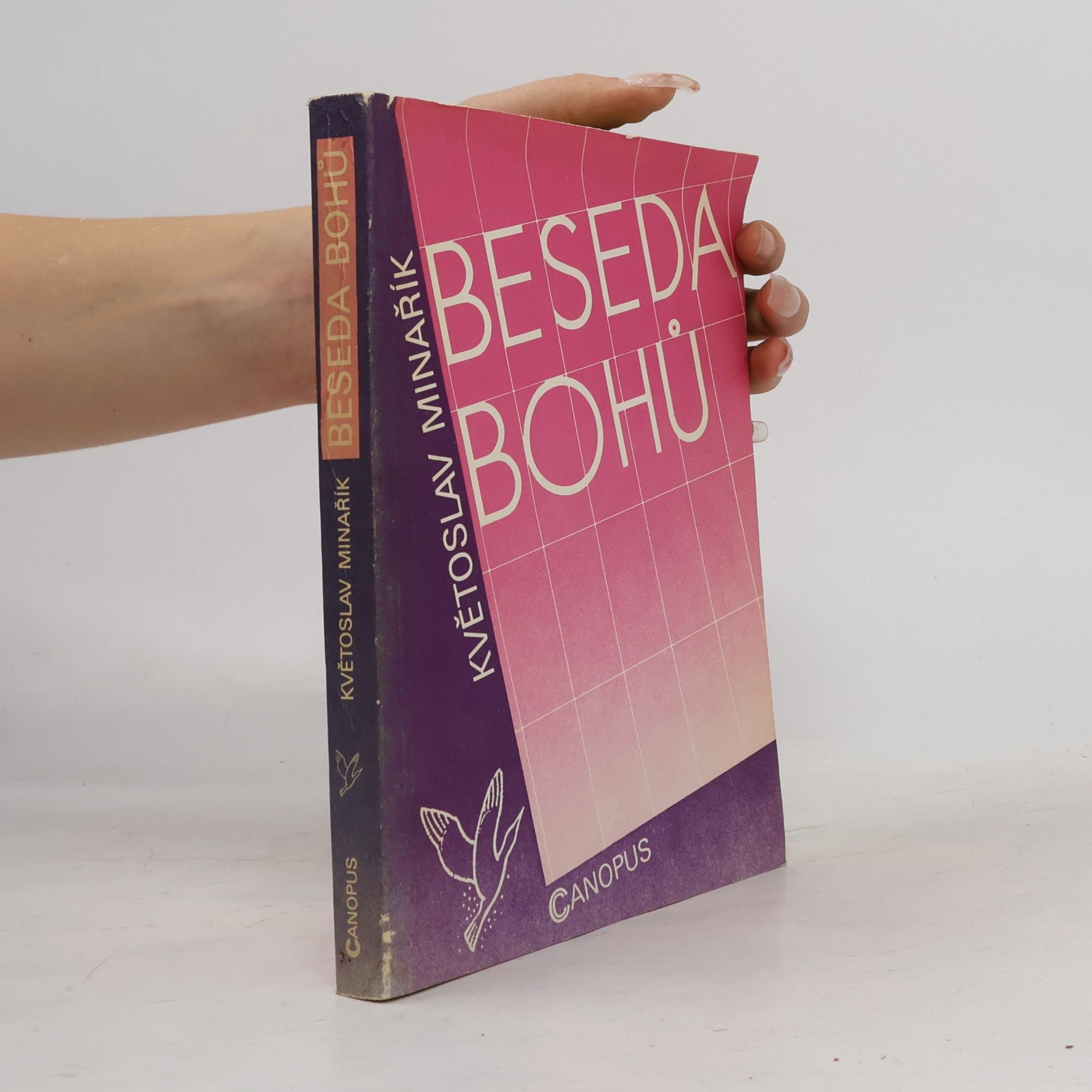 Květoslav Minařík Beseda bohů