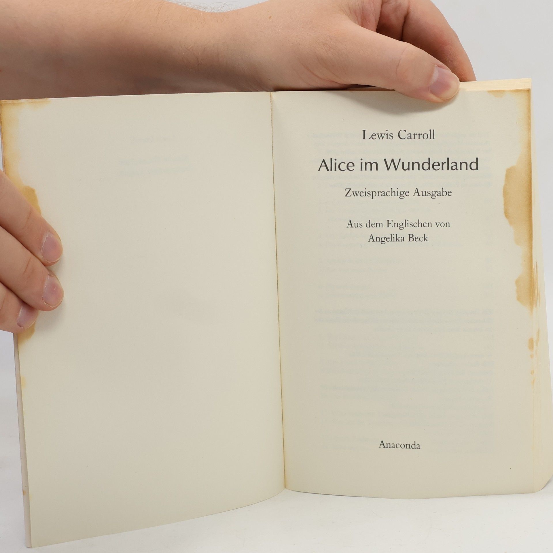 Lewis Carroll Alice im Wunderland