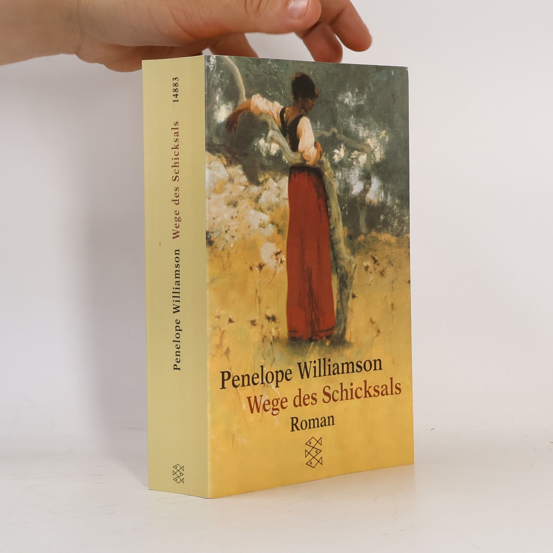 Penelope Williamson Wege des Schicksals