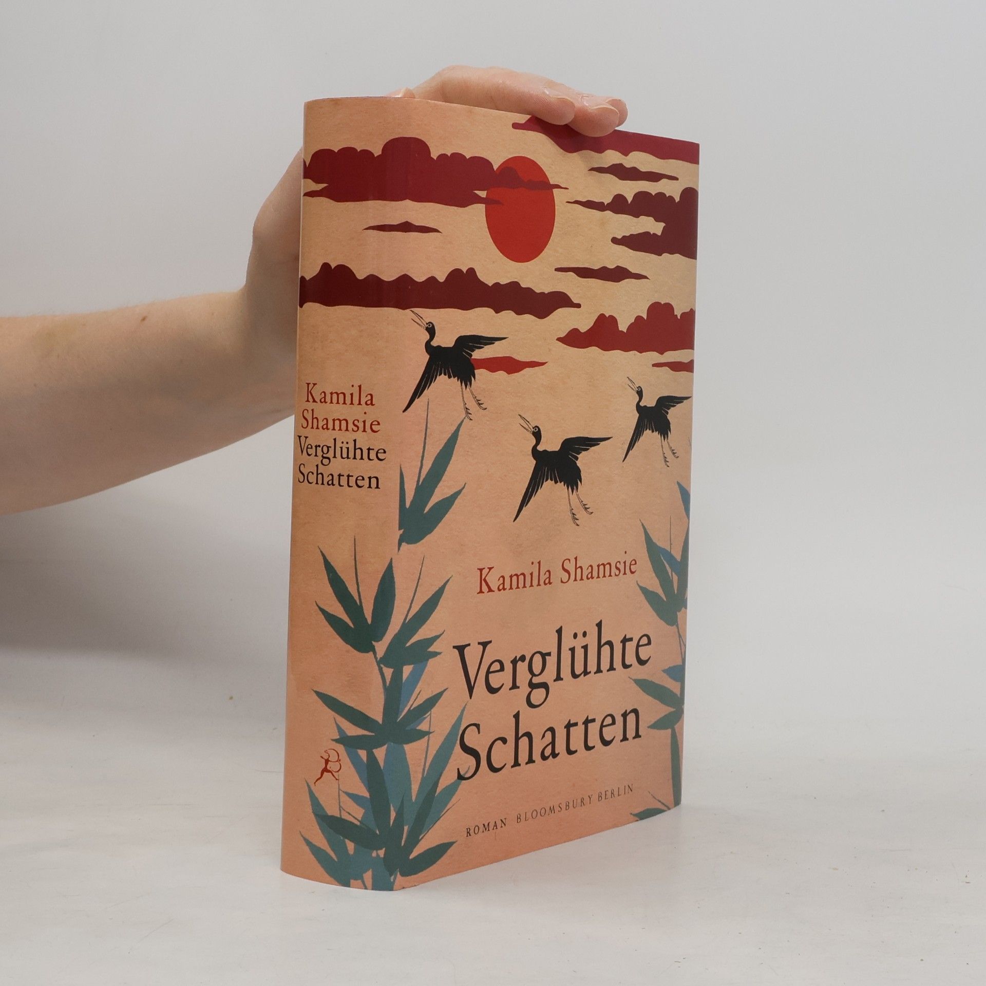 Kamila Shamsie Verglühte Schatten