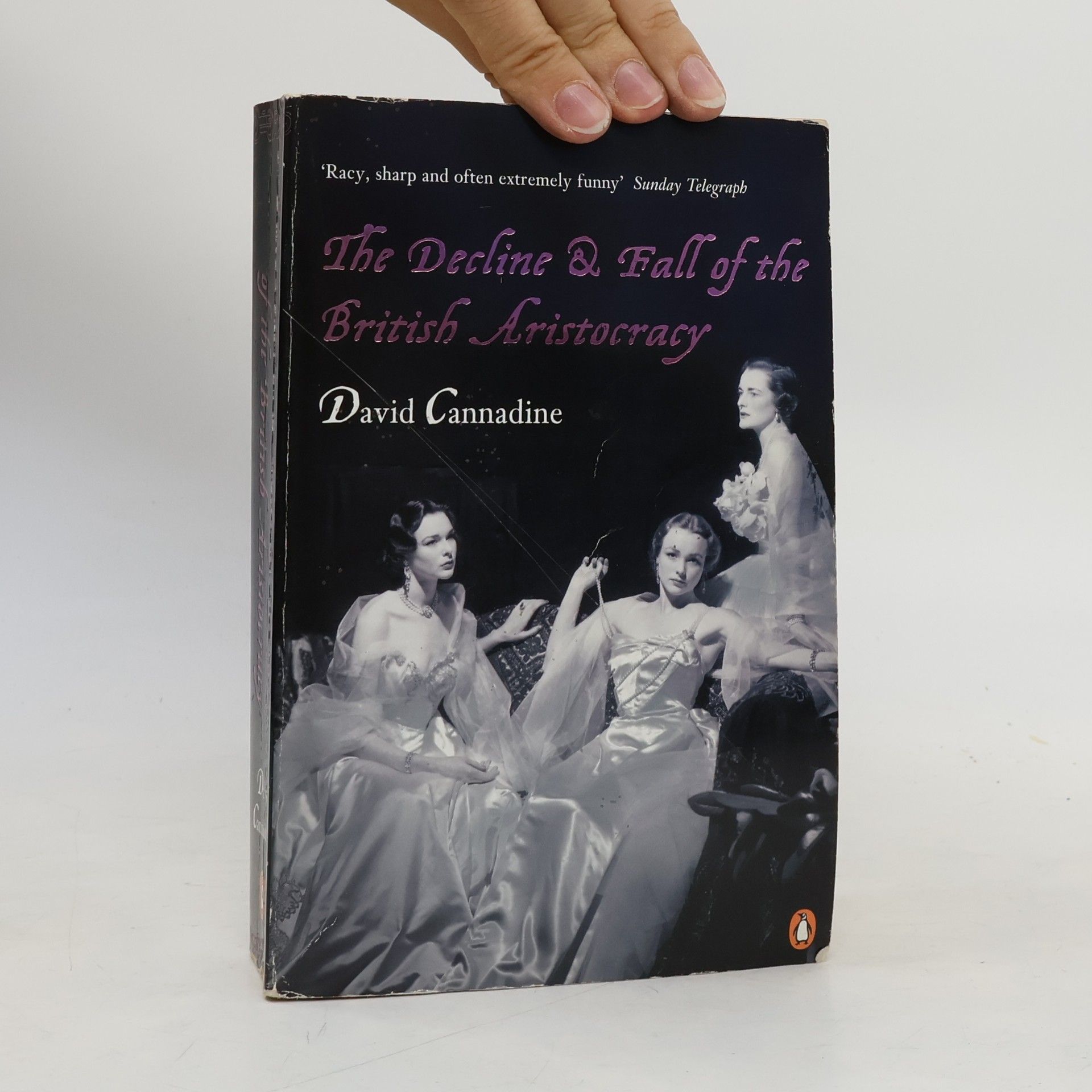 David Cannadine The Decline & Fall of the British Aristocracy