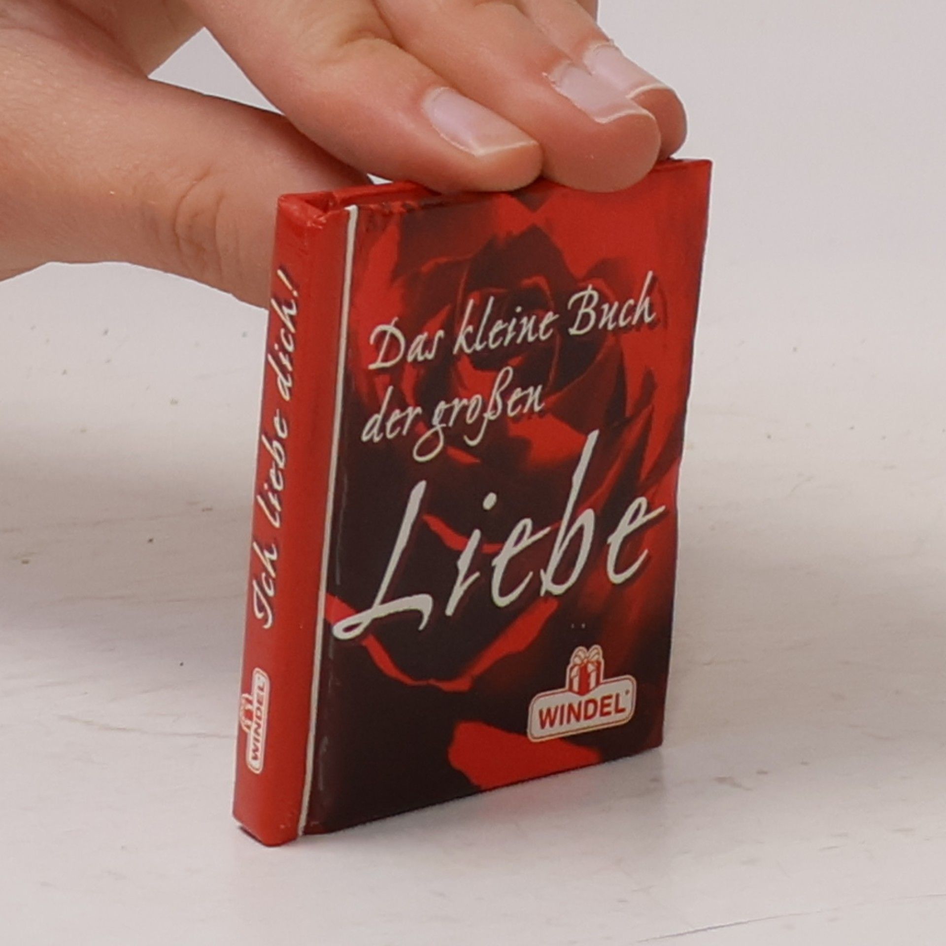 kolektiv Das kleine Buch der großen Liebe