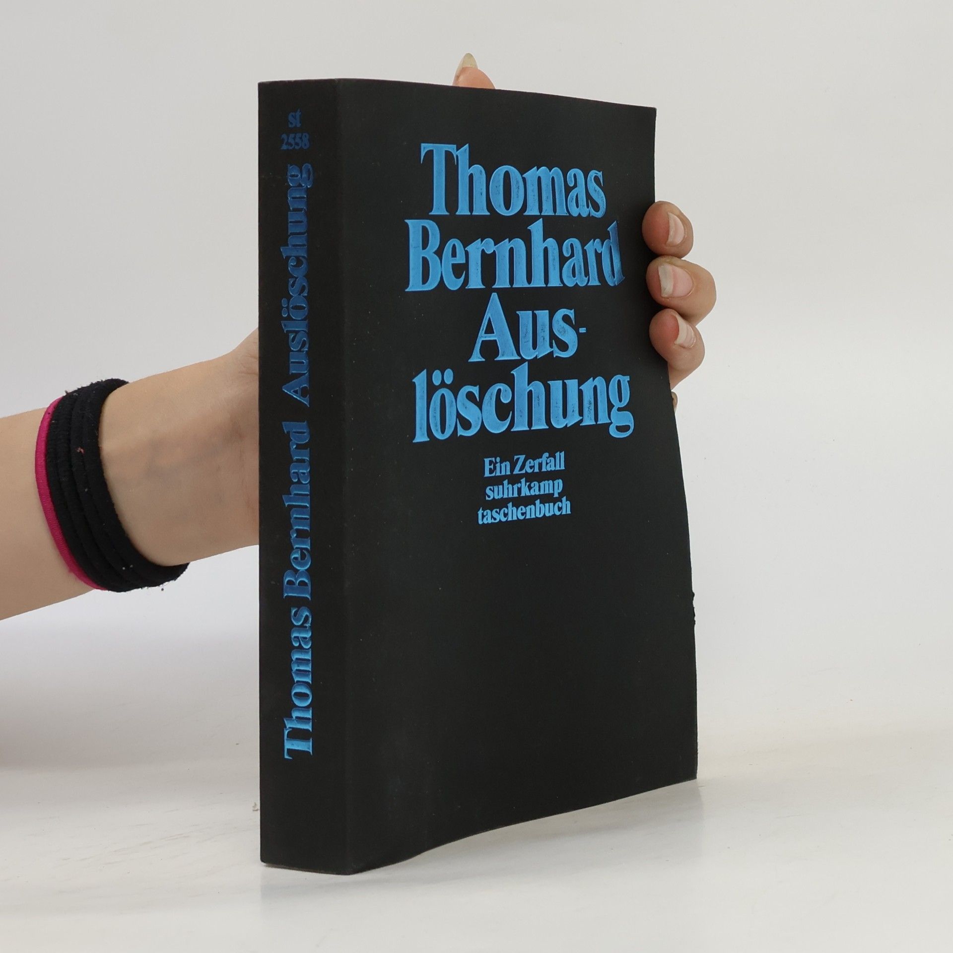 Thomas Bernhard Auslöschung