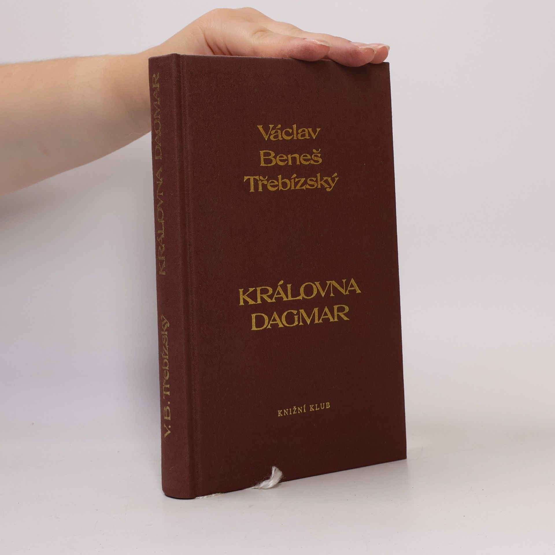 Václav Beneš Třebízský Královna Dagmar