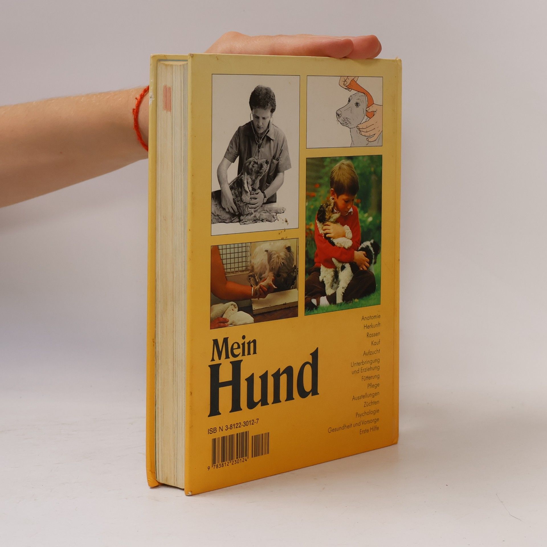 Mein Hund
