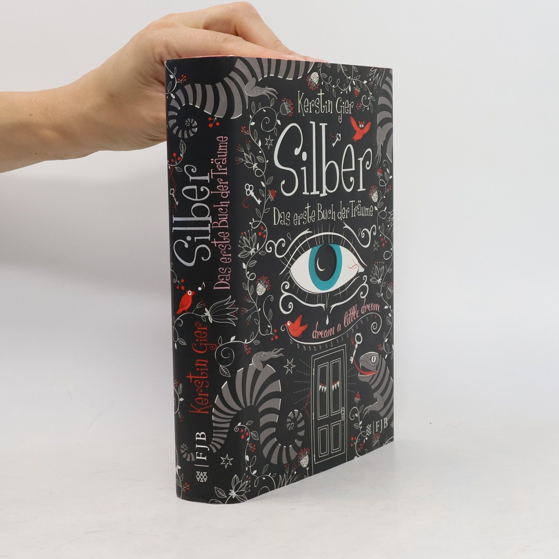 Kerstin Gier Silber - Das erste Buch der Träume