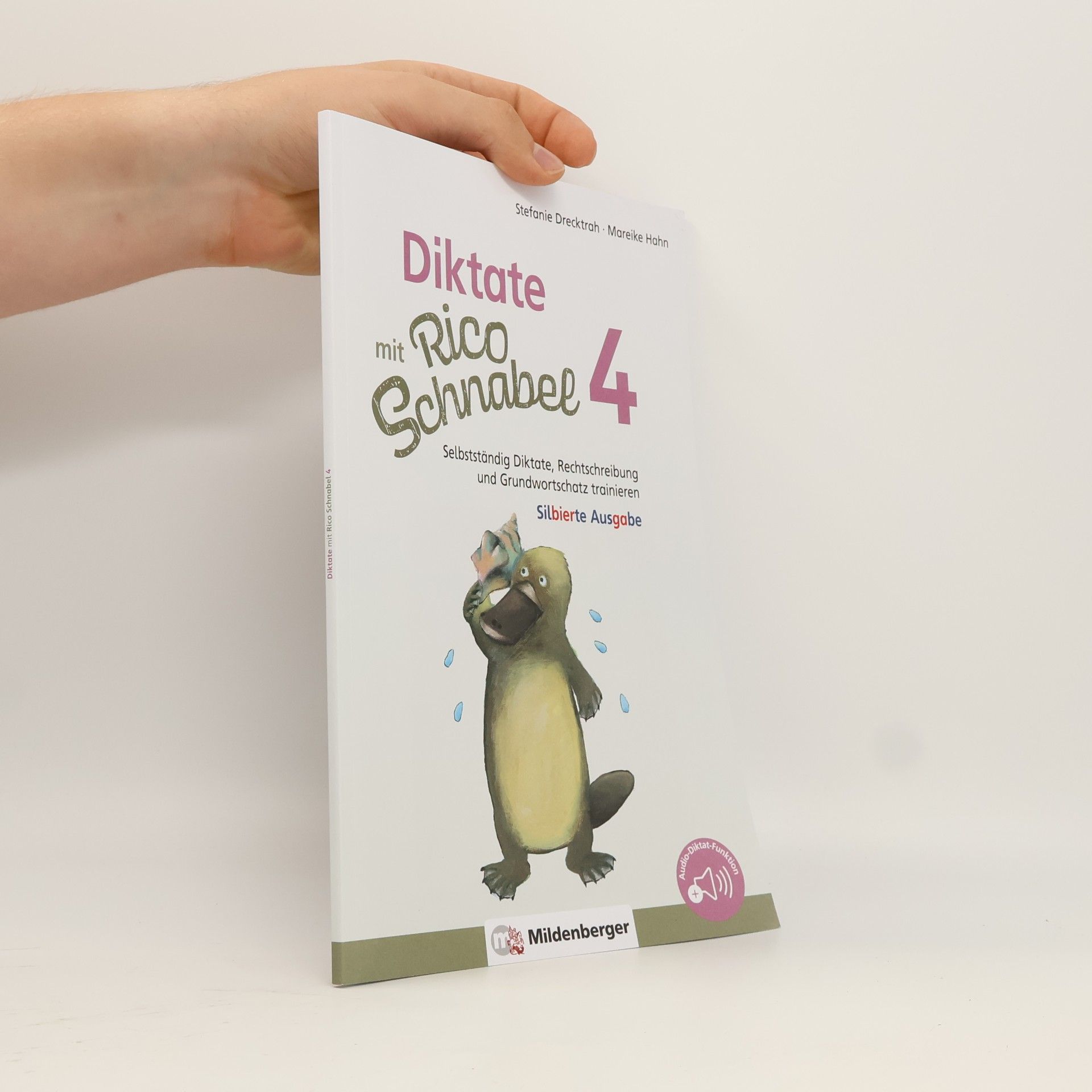 Diktate mit Rico Schnabel, Klasse 4 - silbierte Ausgabe