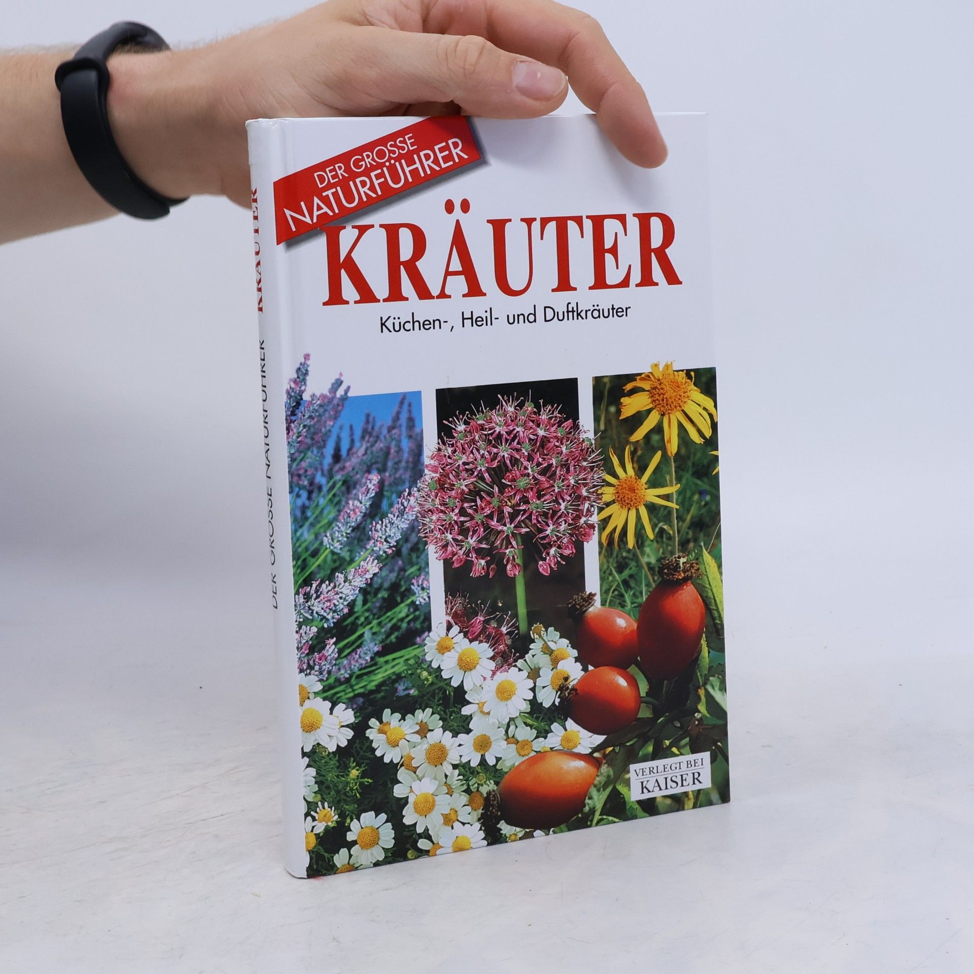 Kräuter. Küchen-, Heil- und Duftkräuter