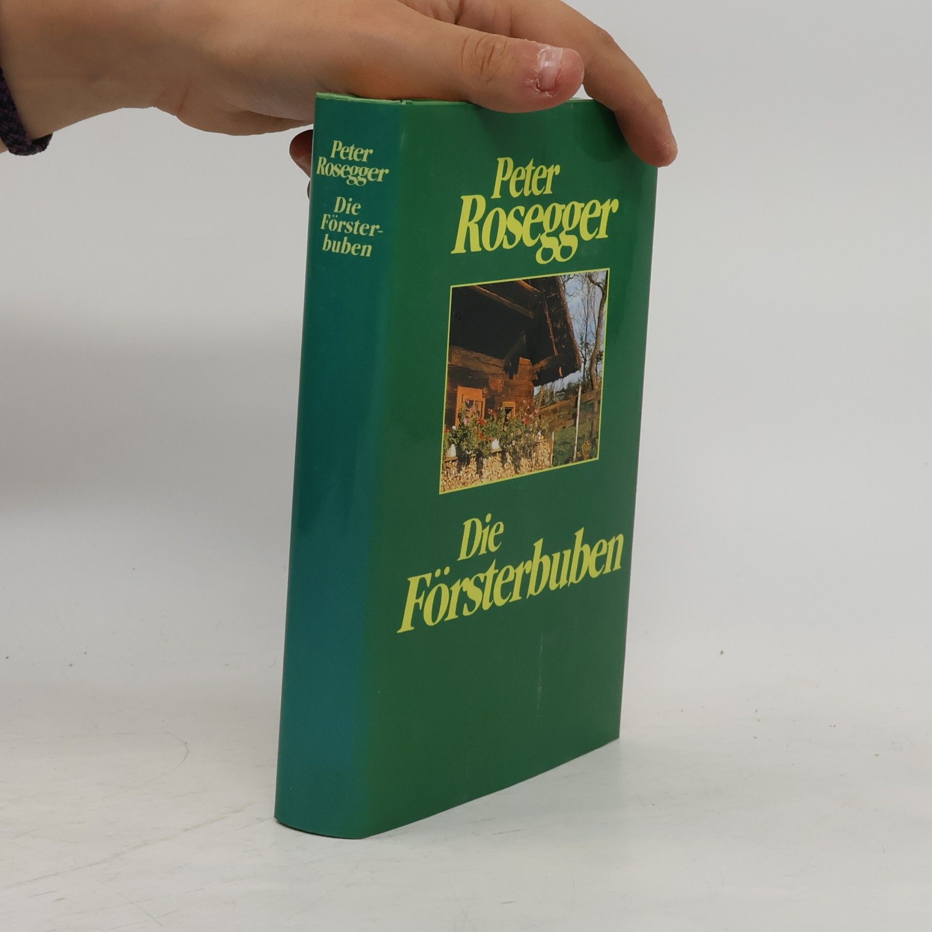 Peter Rosegger Die Försterbuben