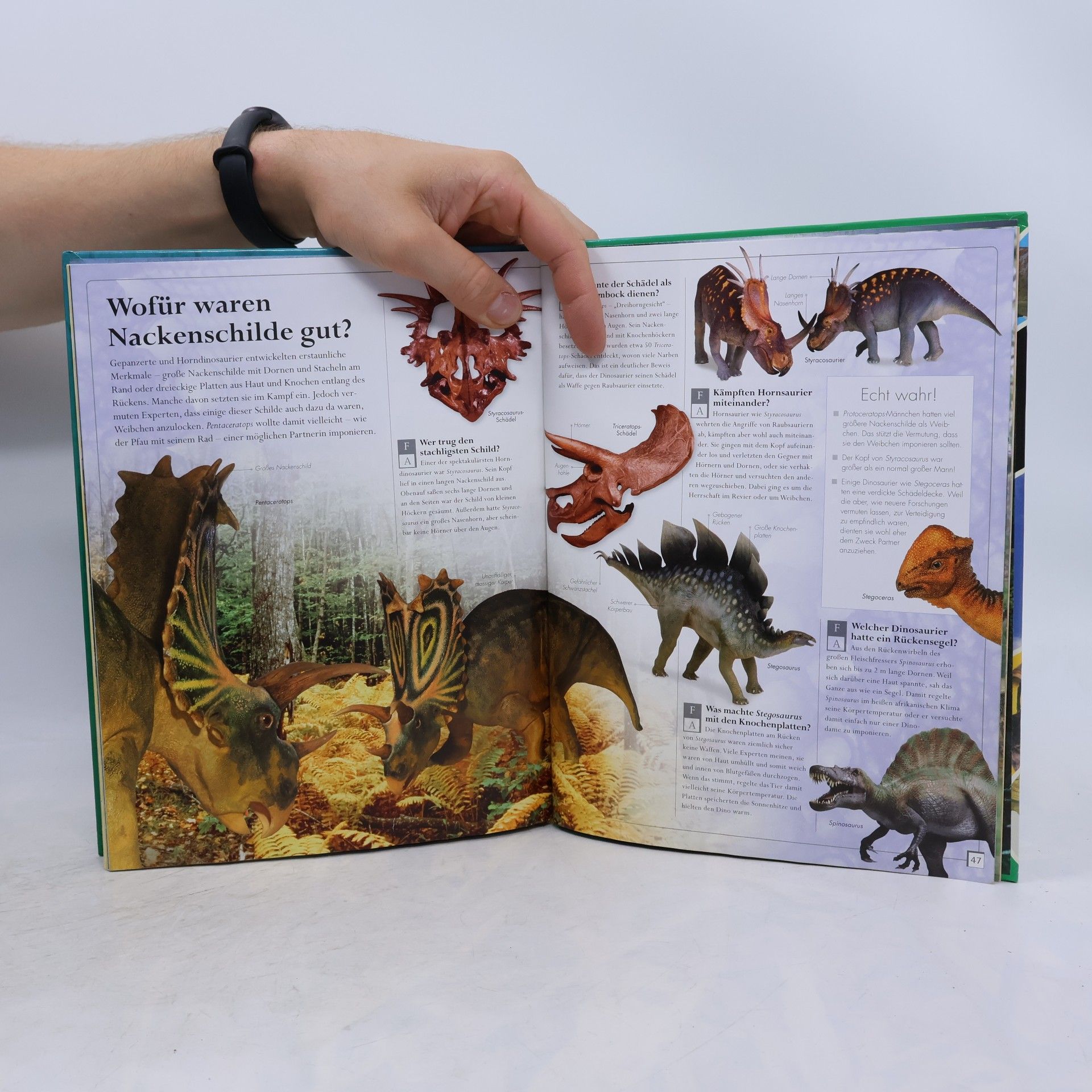 Carey Scott Dinosaurier