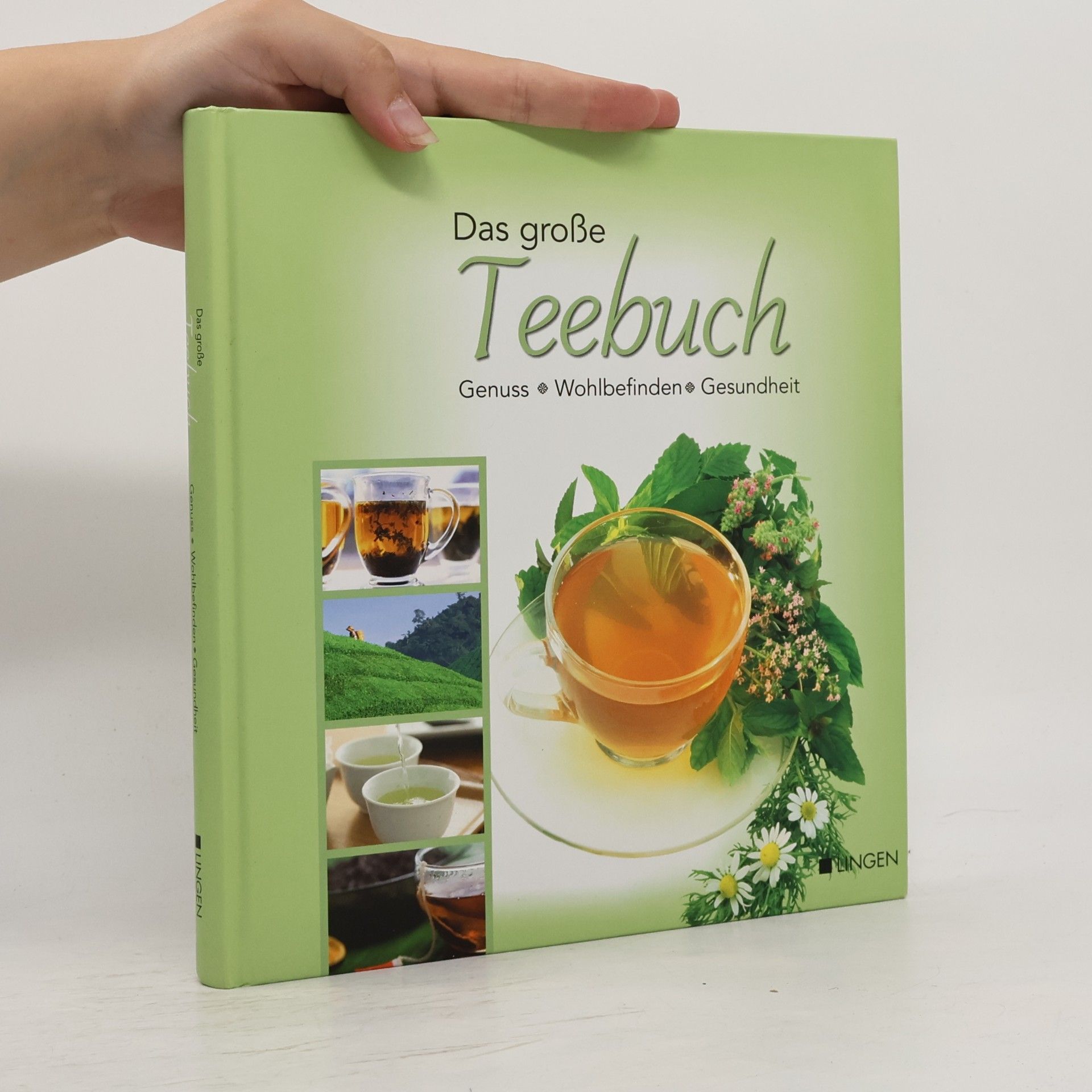 Das große TeeBuch