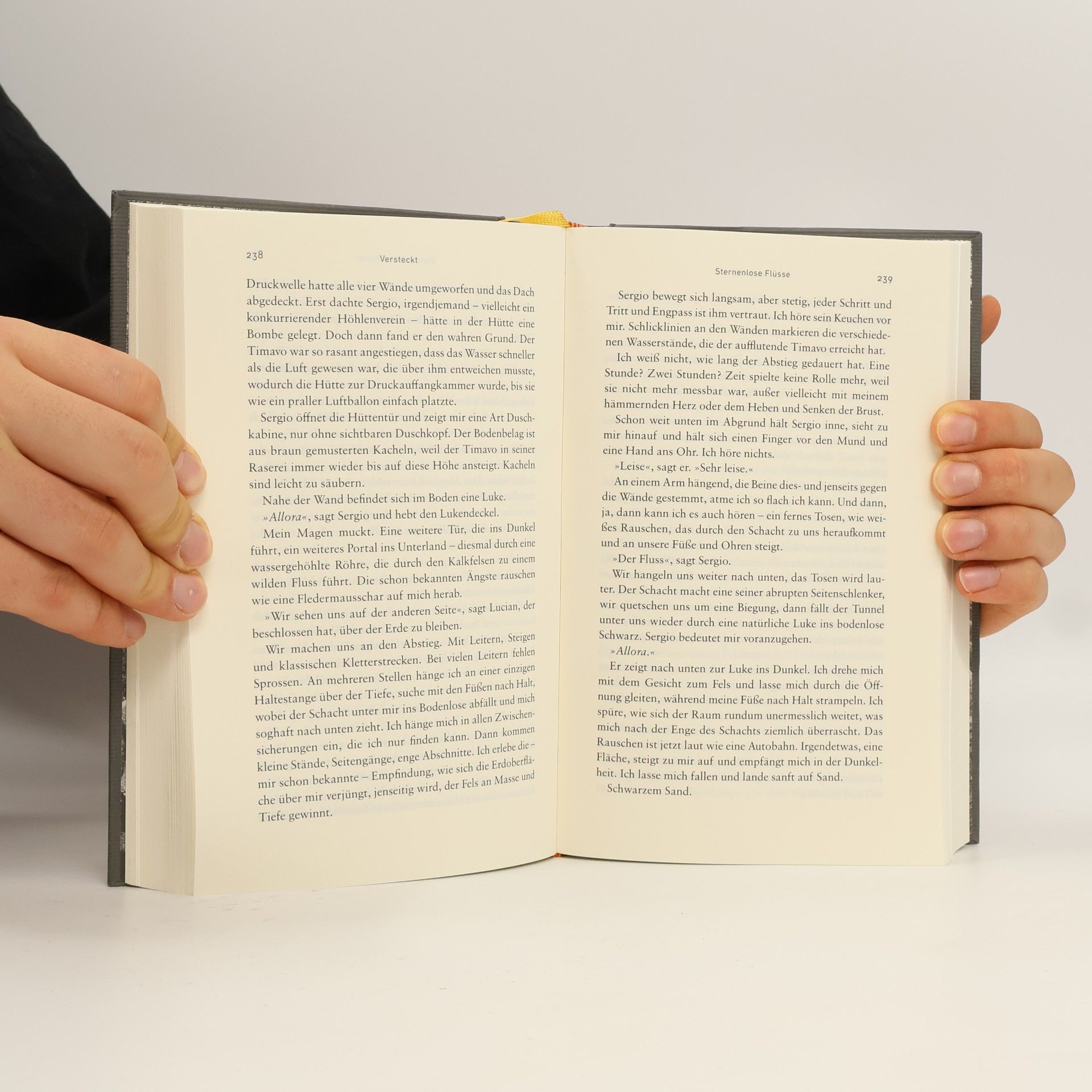 Robert Macfarlane Im Unterland