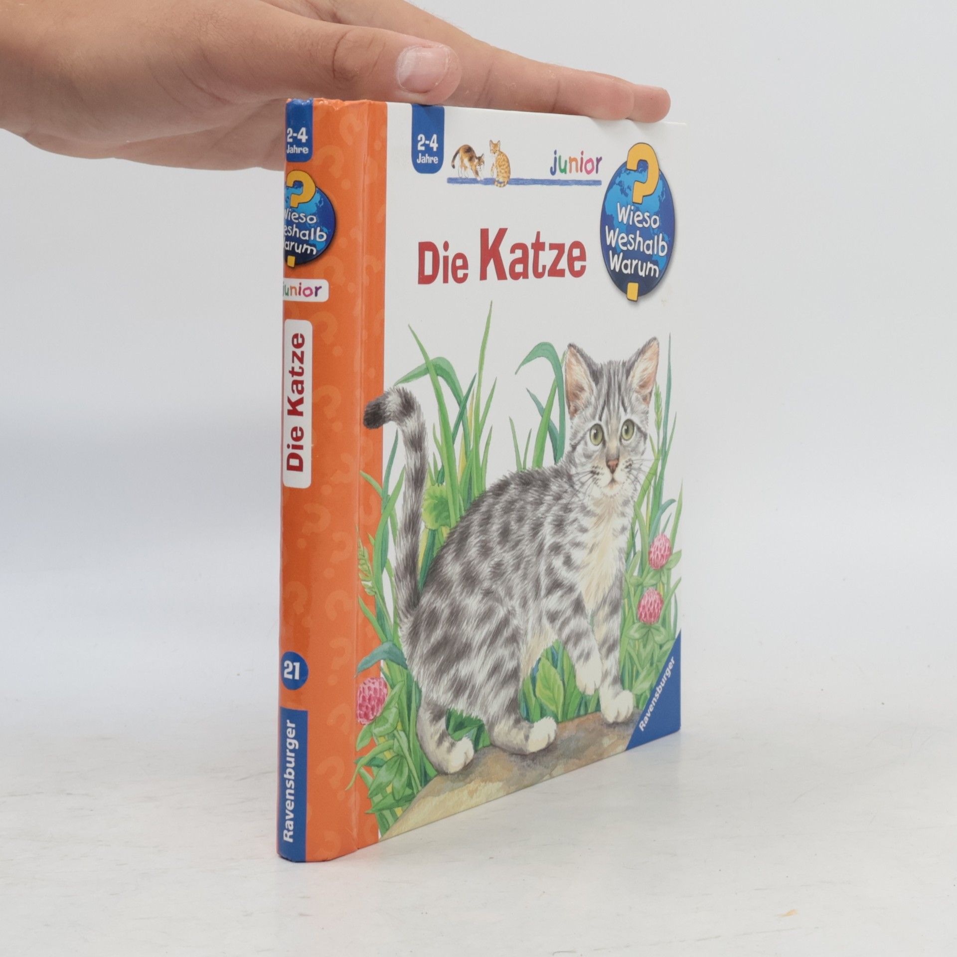 Die Katze
