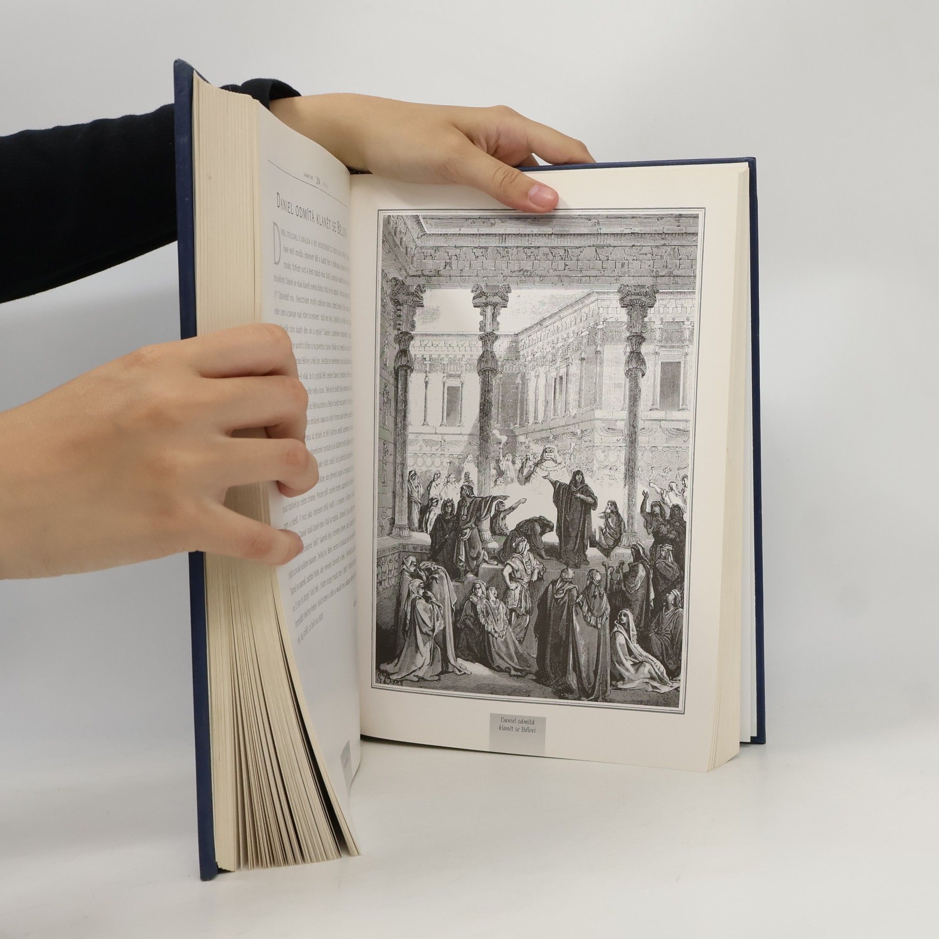 Gustave Doré Bible