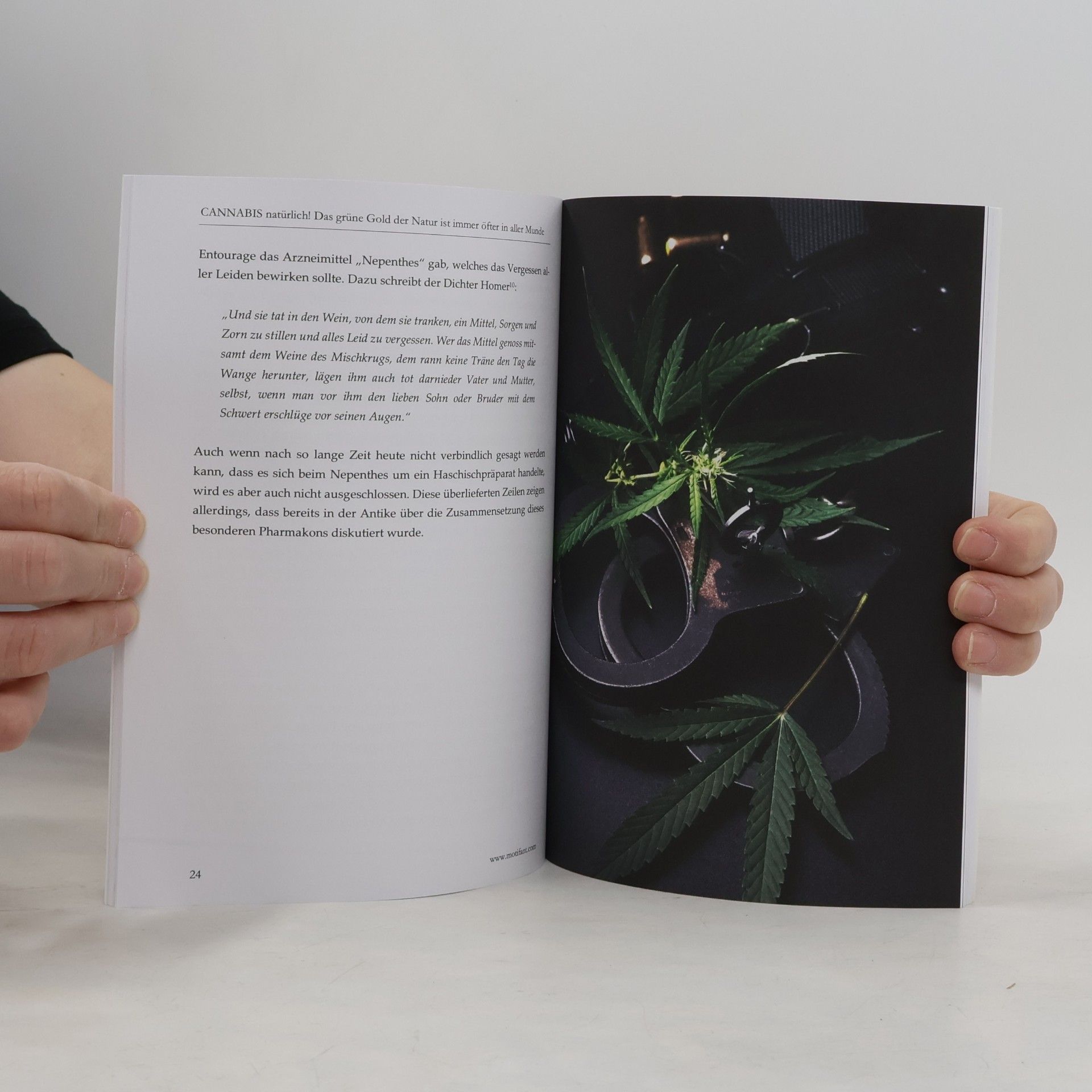 Rene Seltmann Cannabis natürlich!