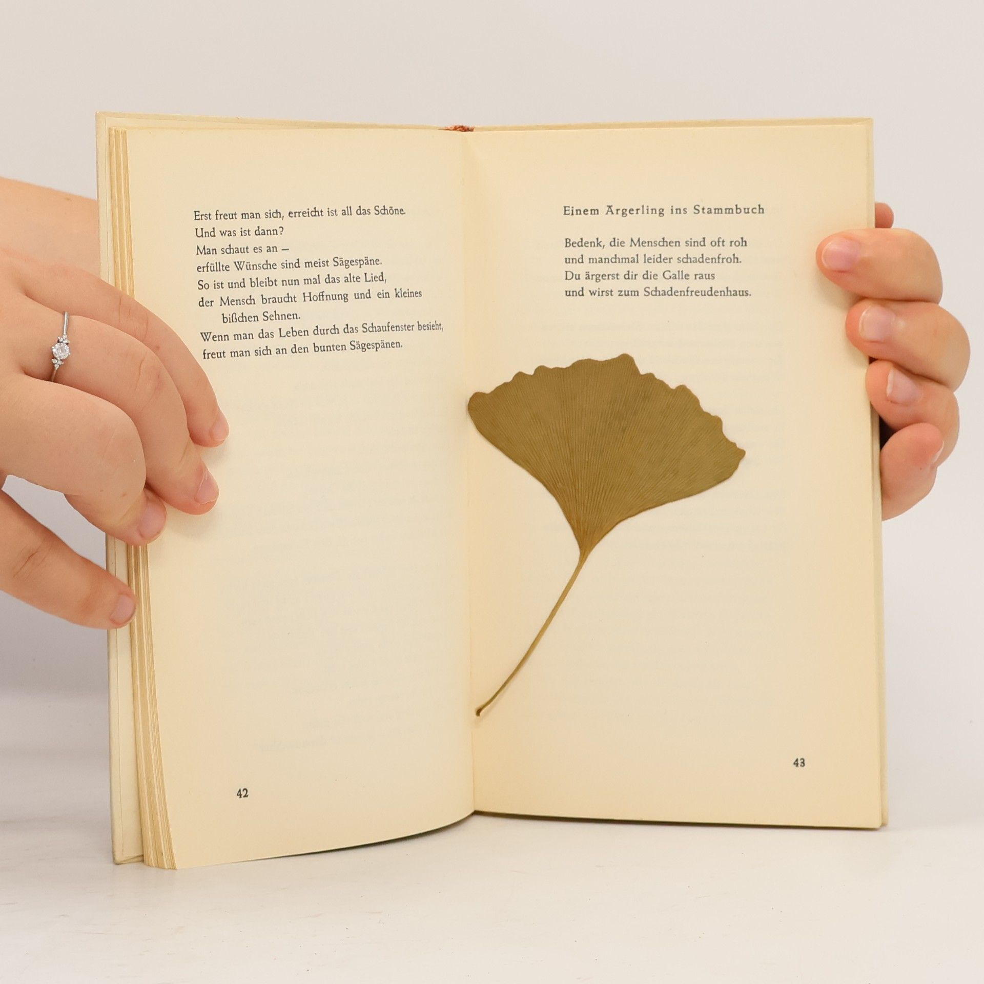 Autorenkollektiv Liederliches und Lyrisches