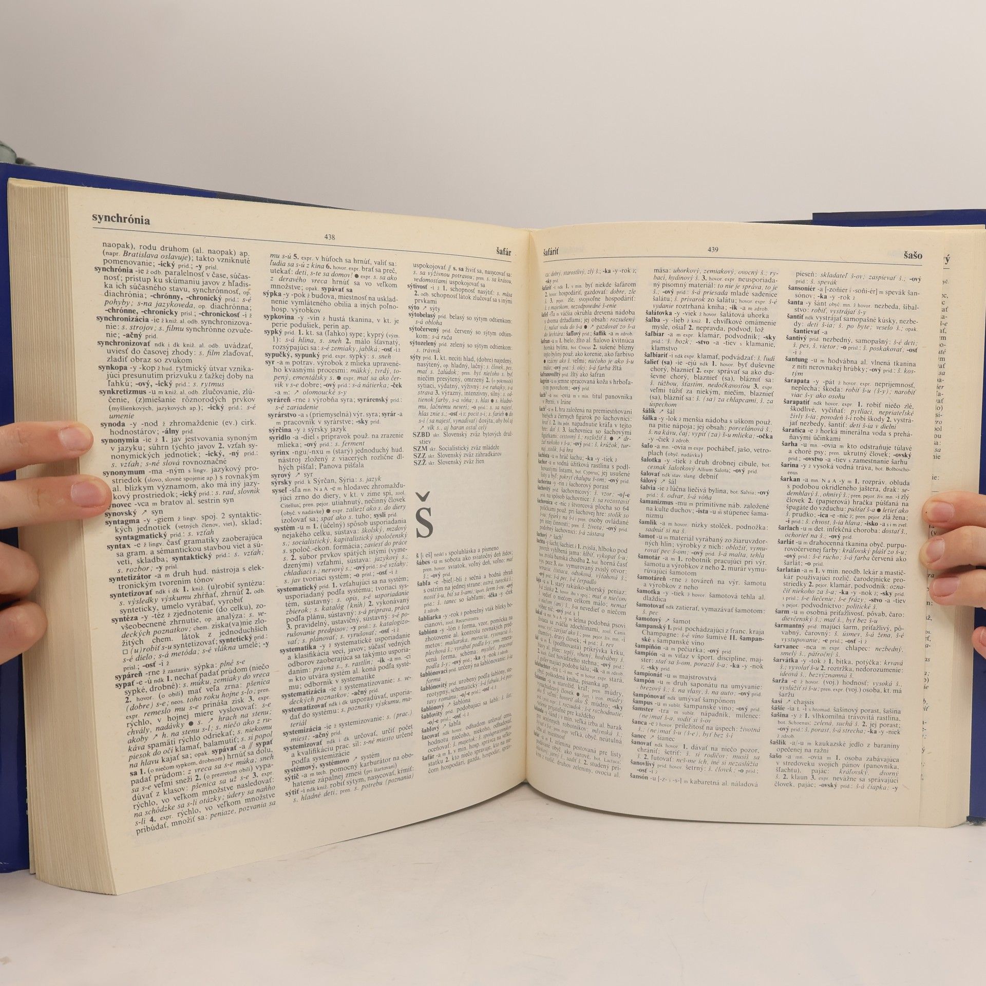 Autorenkollektiv Krátky slovník slovenského jazyka