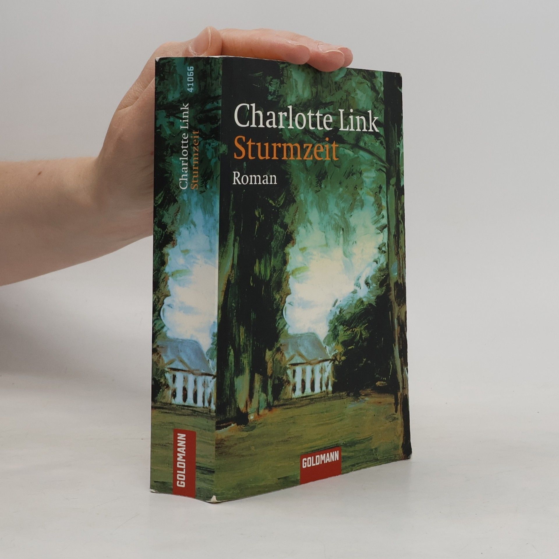 Charlotte Link Sturmzeit