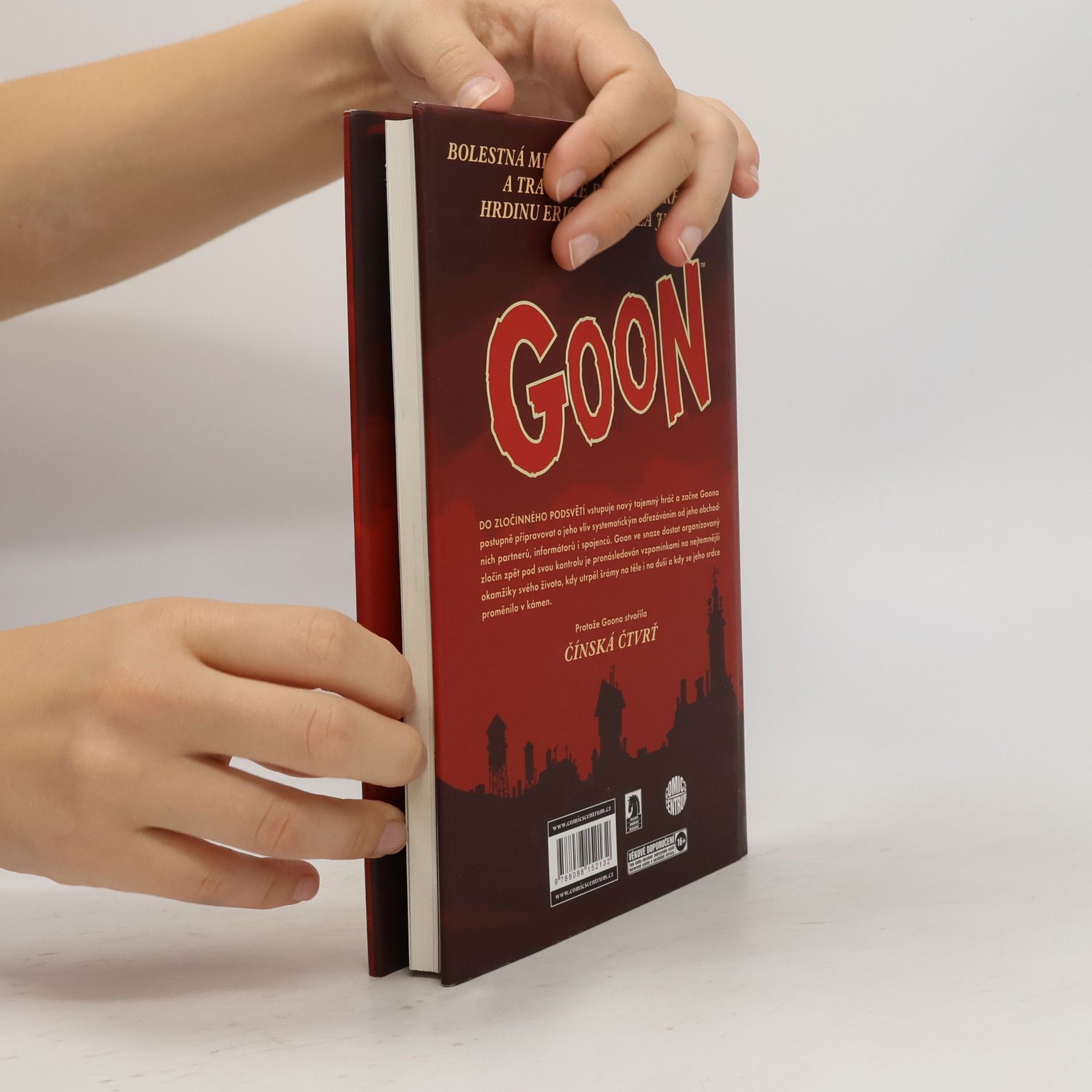 Eric Powell Goon #6: Čínská čtvrť a tajemný pan Trnka