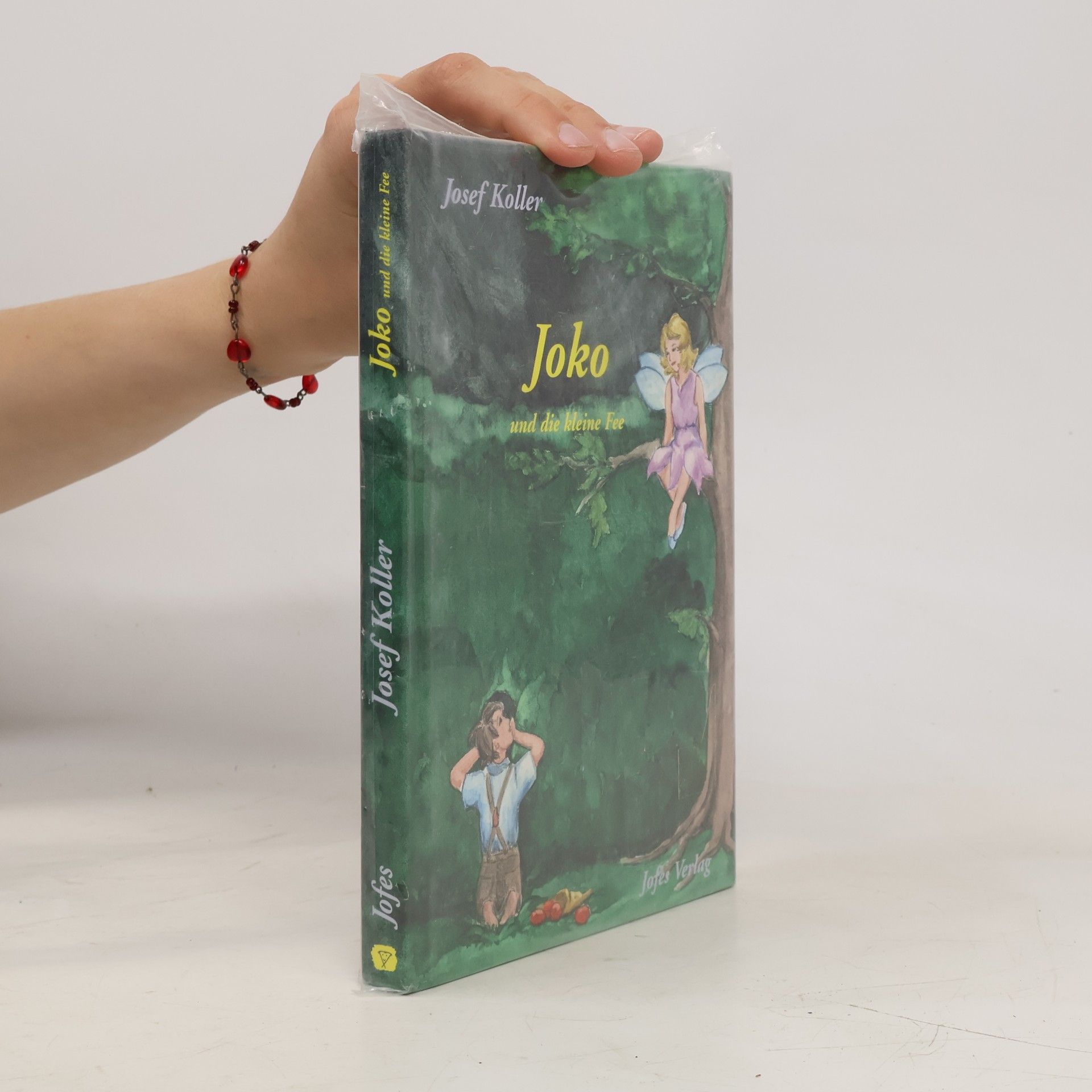 Agnes Rupp Joko und die kleine Fee