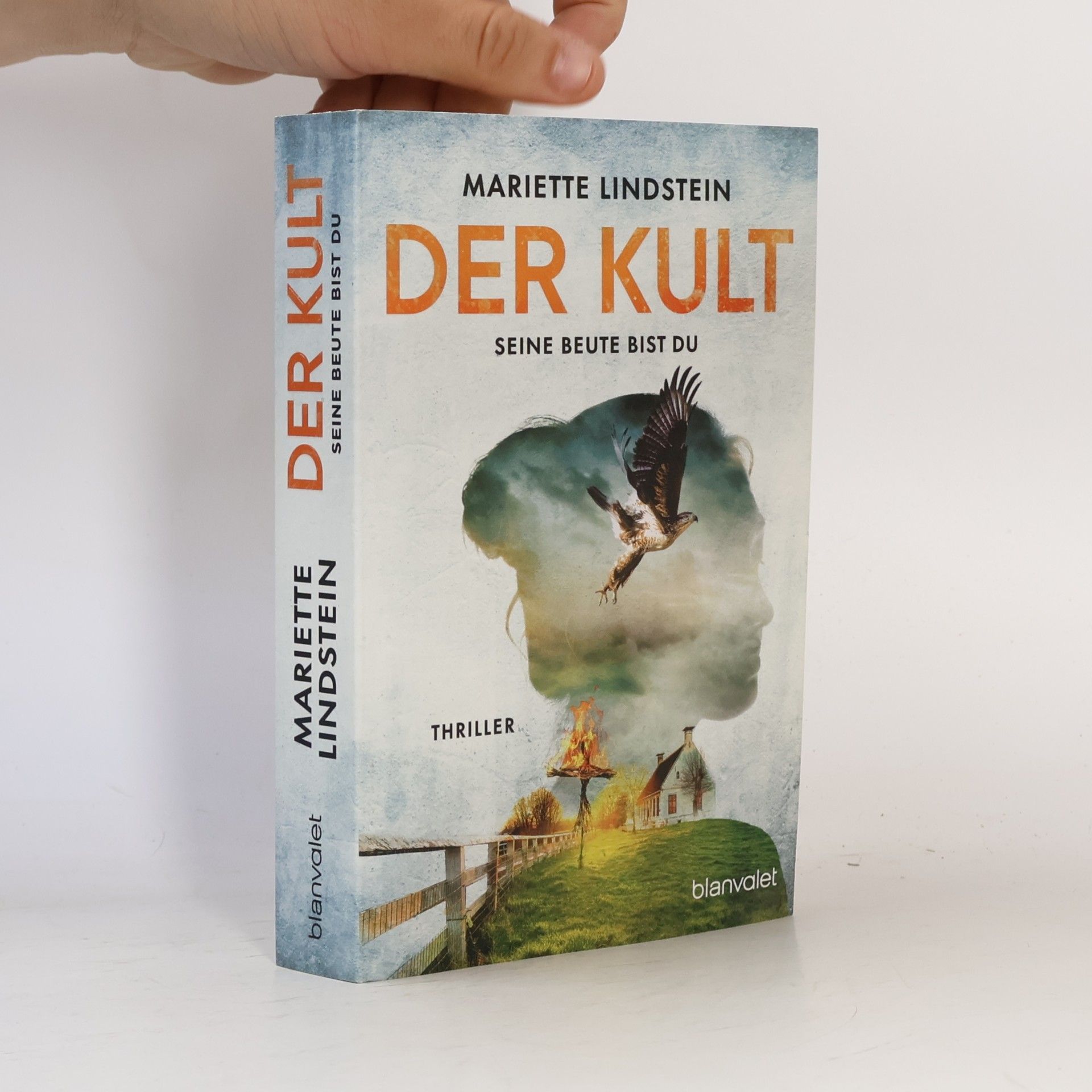 Mariette Lindstein Die Kult-Reihe - 3: Der Kult - Seine Beute bist du