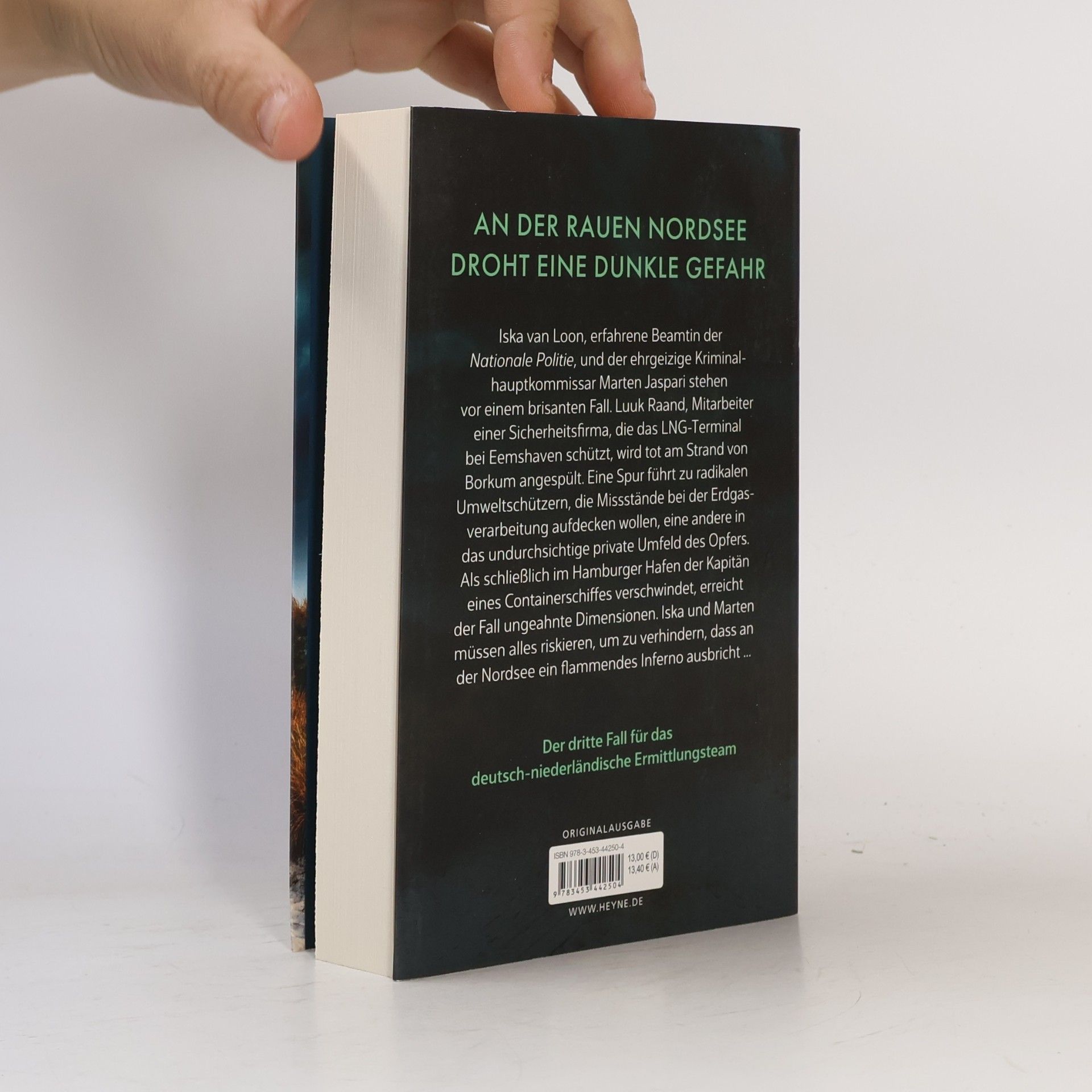 Fynn Jacob Jaspari & van Loon ermitteln - 3: Brennendes Watt