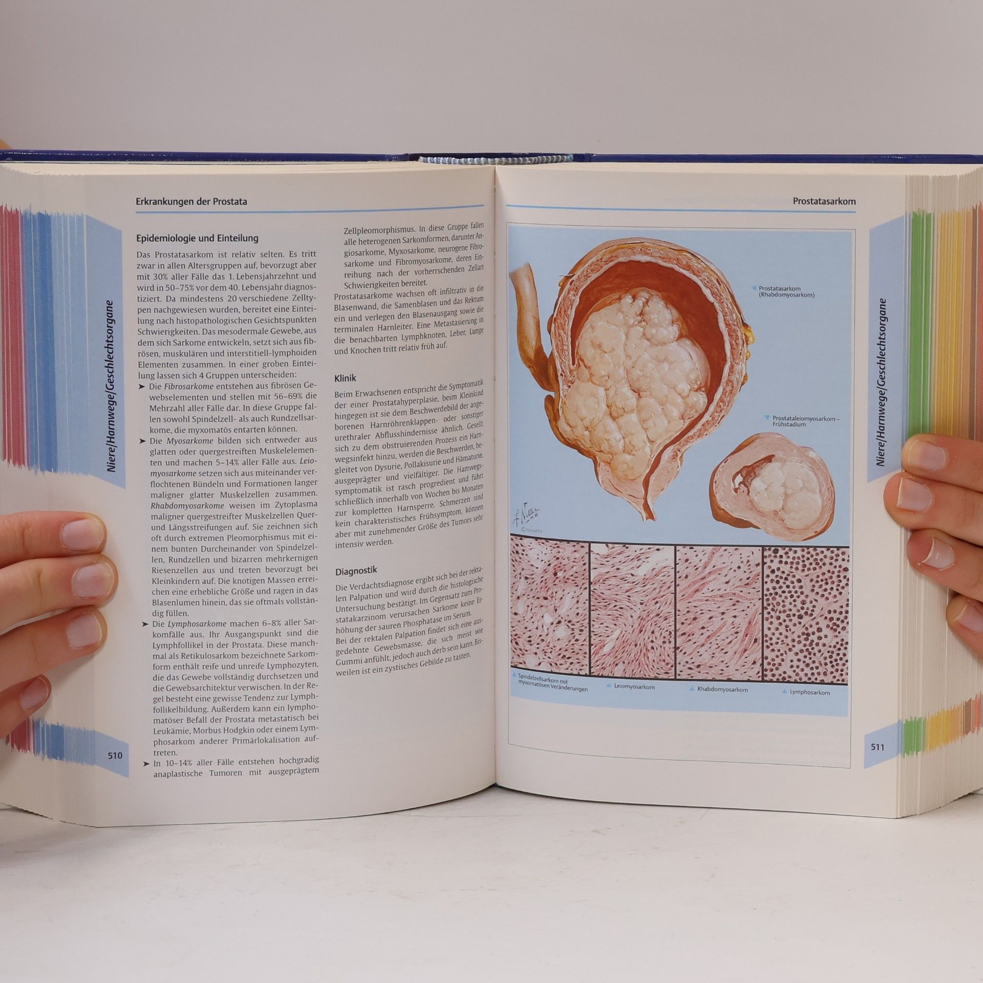 Frank Netter Netter's Innere Medizin