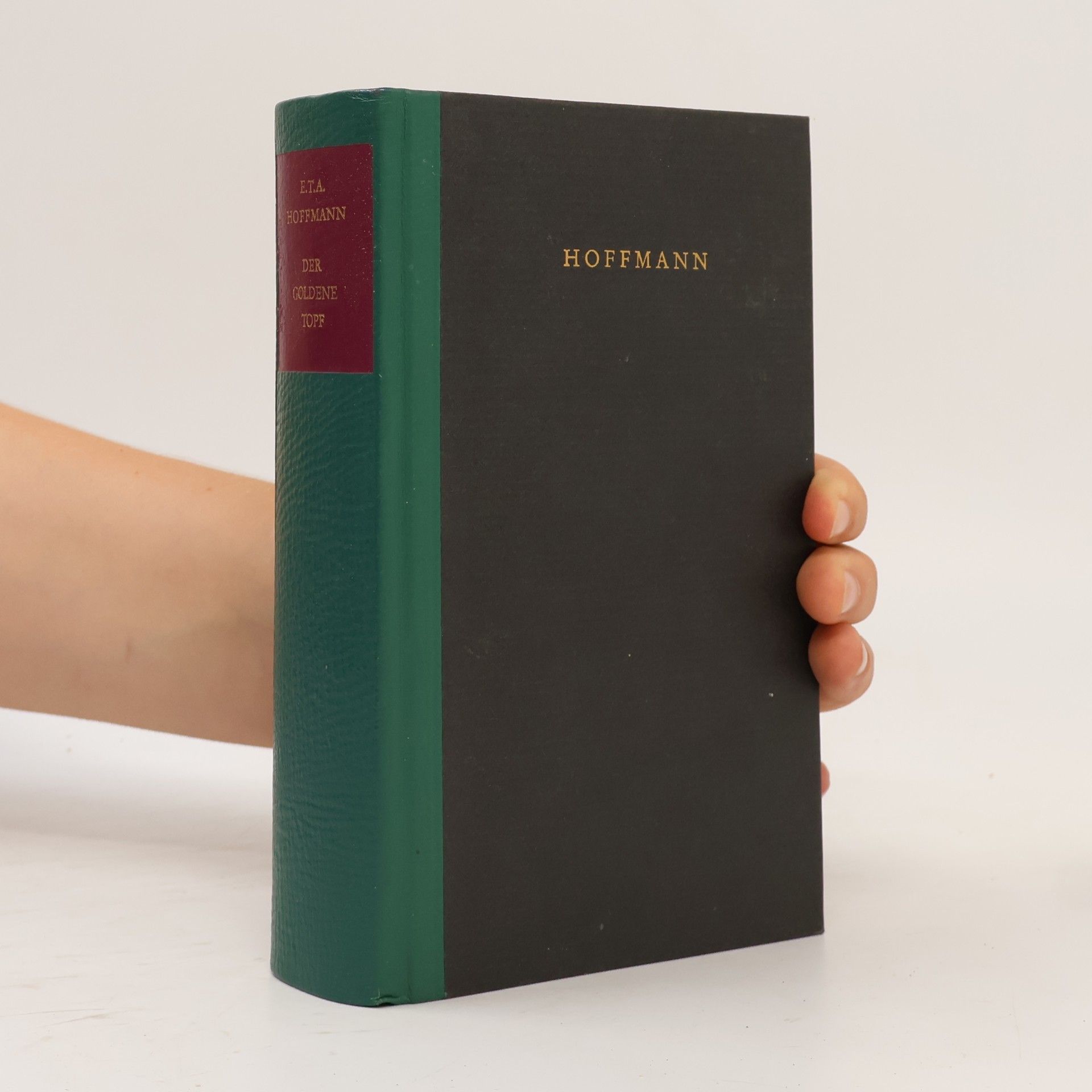 E. T. A. Hoffmann Der goldene Topf