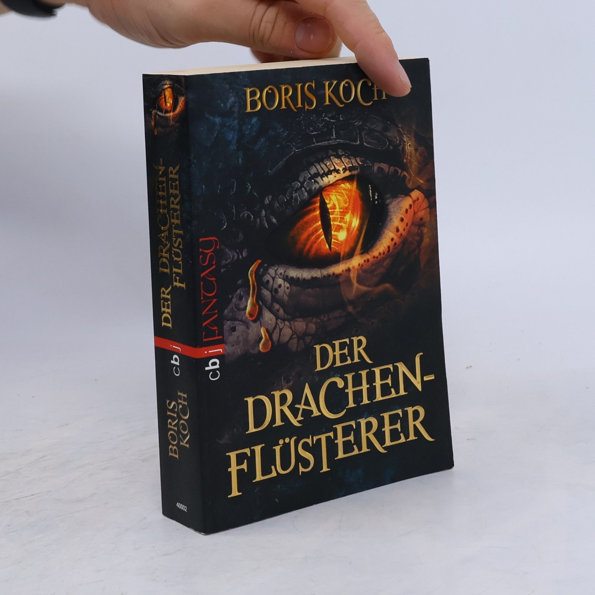 Boris Koch Der Drachenflüsterer