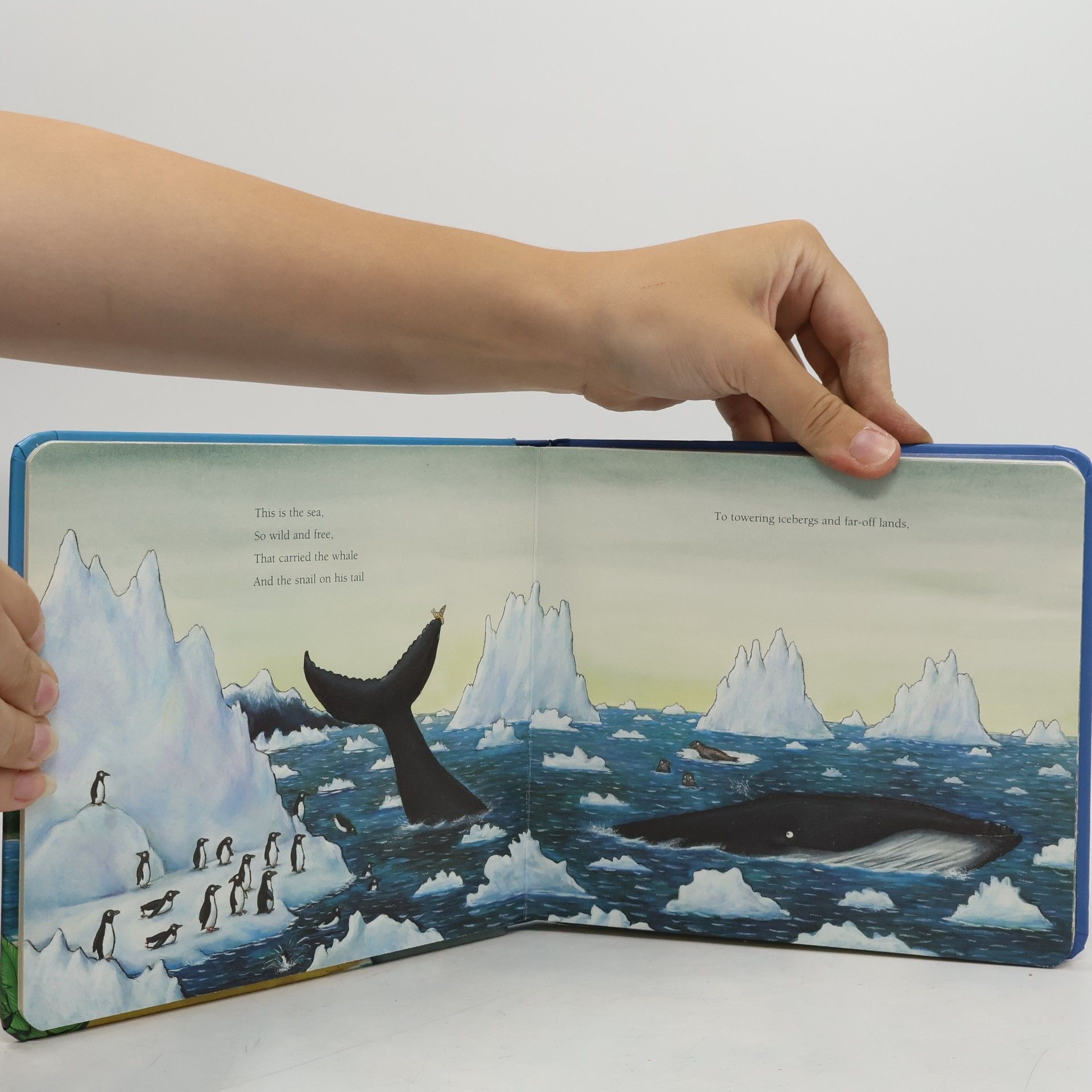 Julia Donaldson The Snail and the Whale