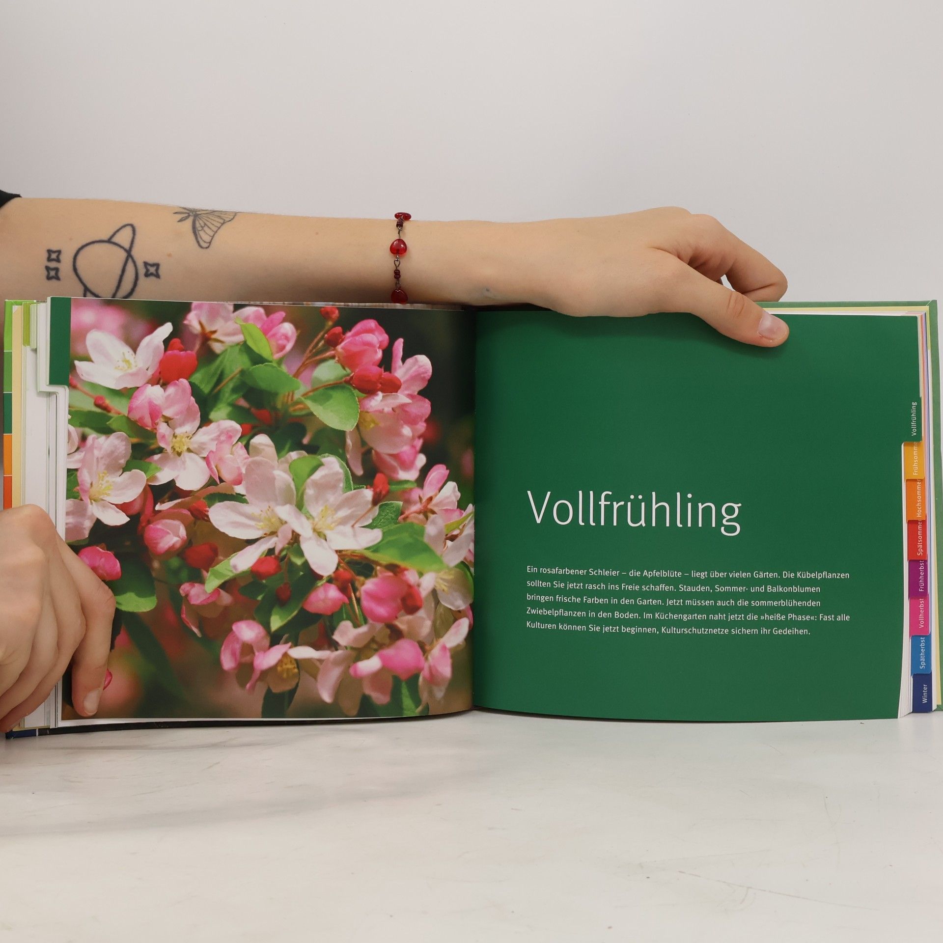 Andreas Barlage Quickfinder Gartenjahr