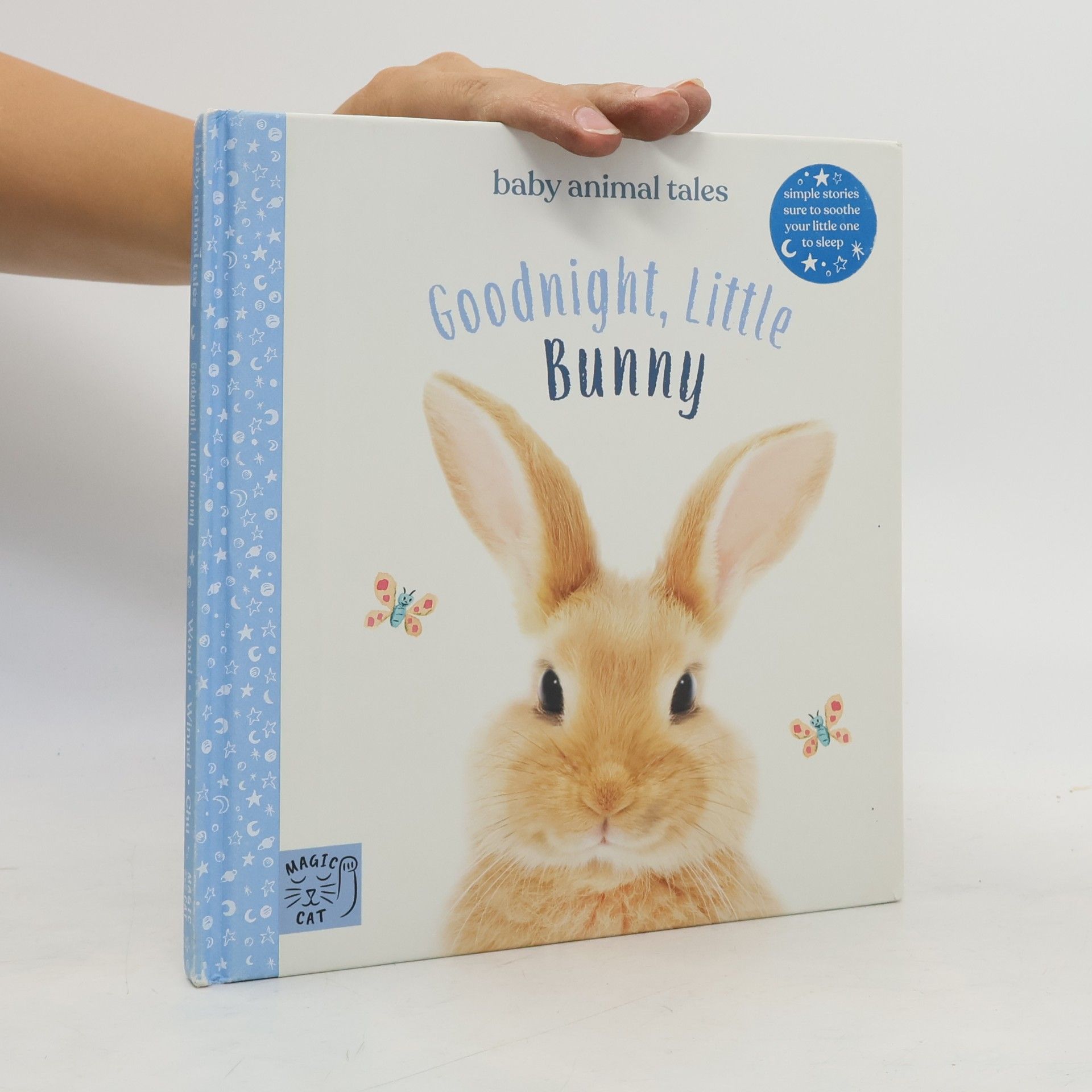 Amanda Wood Goodnight, Little Bunny