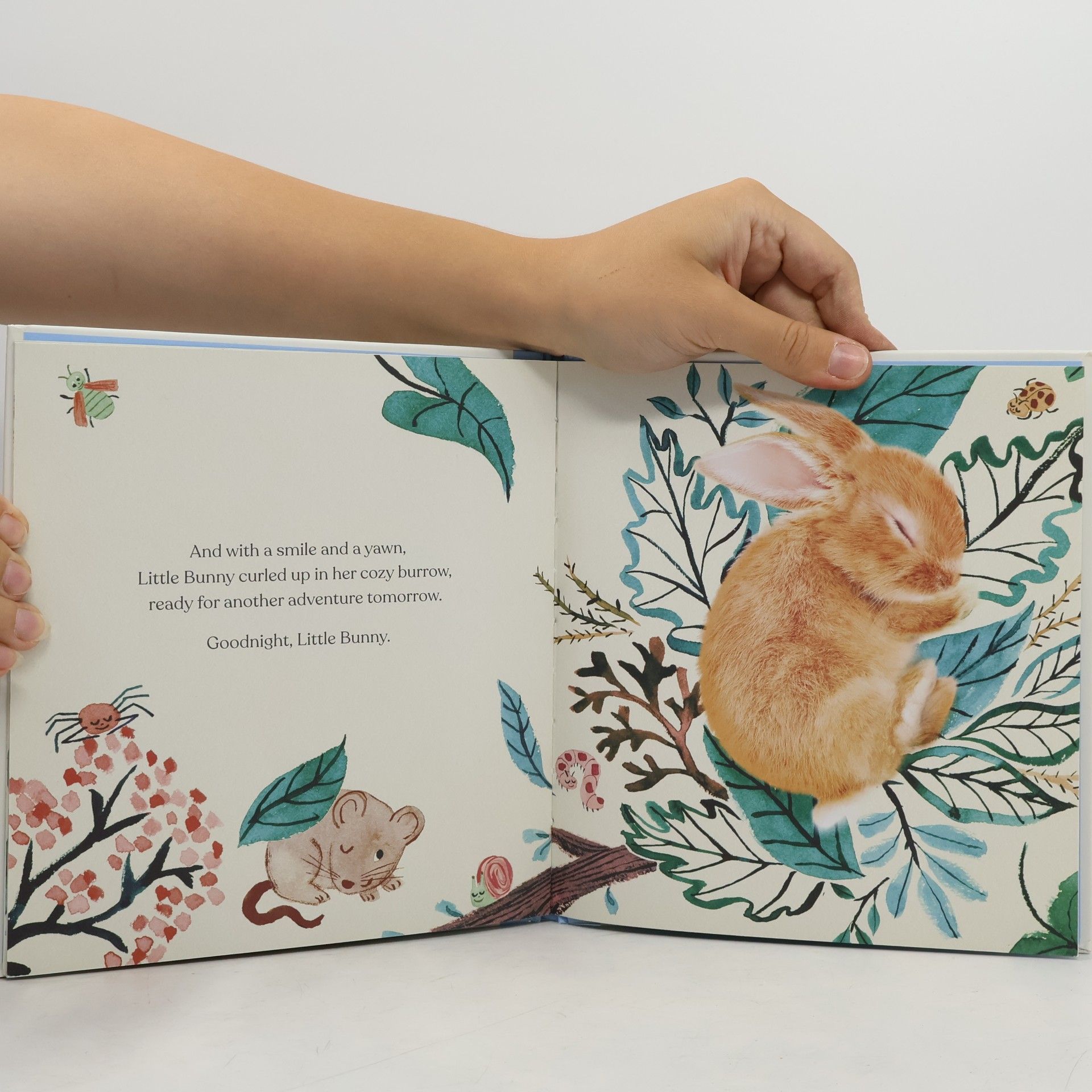 Amanda Wood Goodnight, Little Bunny