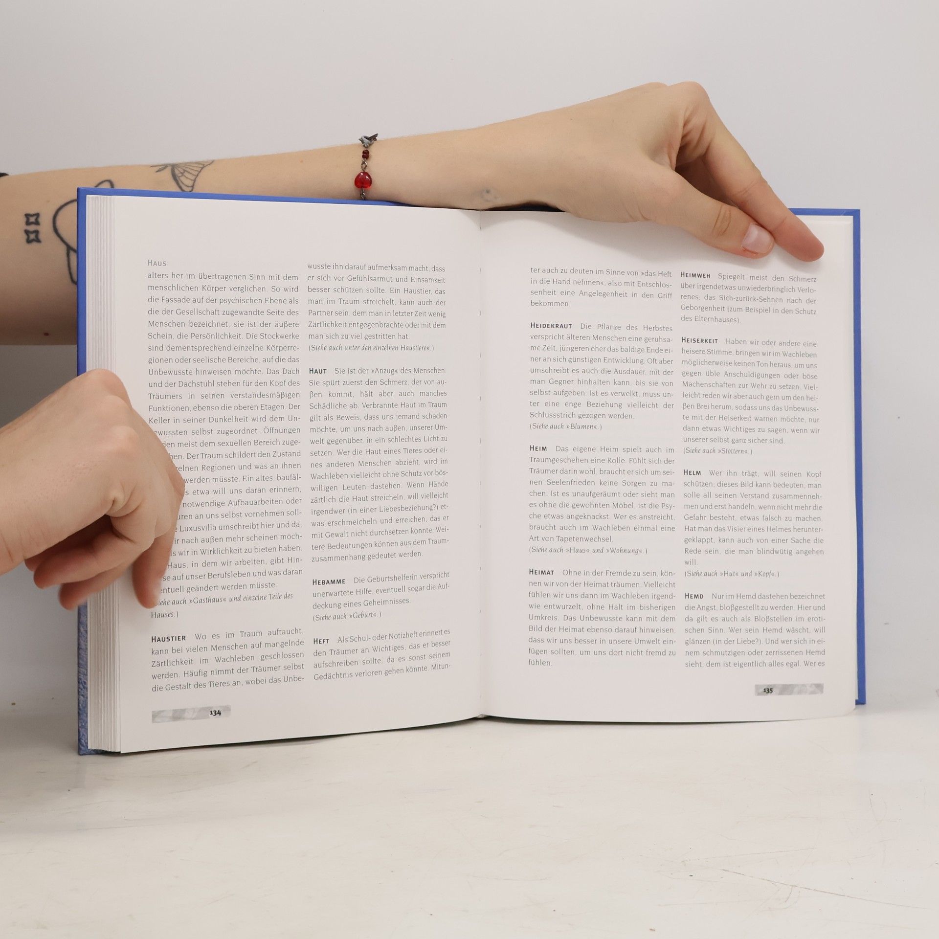 Georg Fink Das große Buch der Traumdeutung