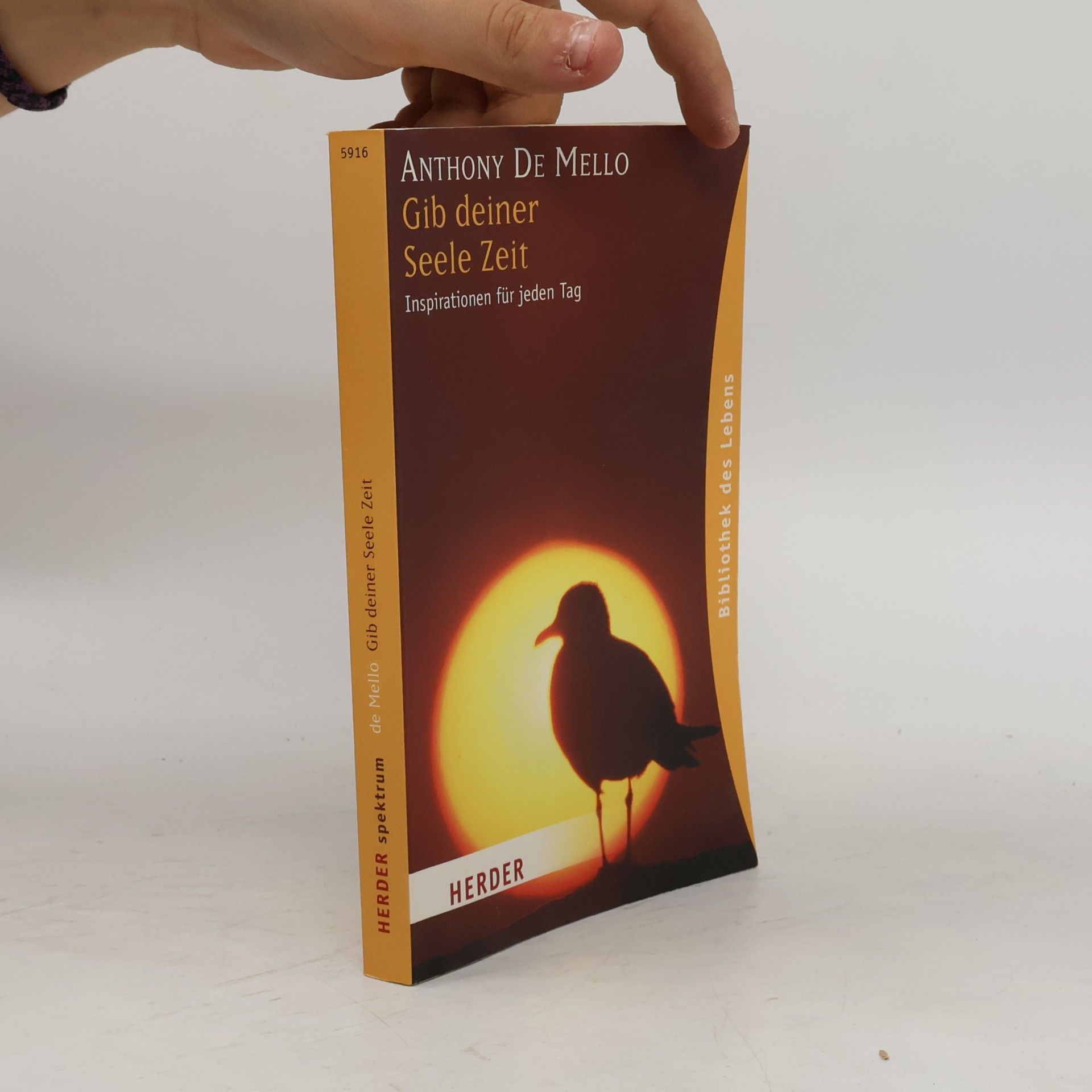 Anthony De Mello Gib deiner Seele Zeit