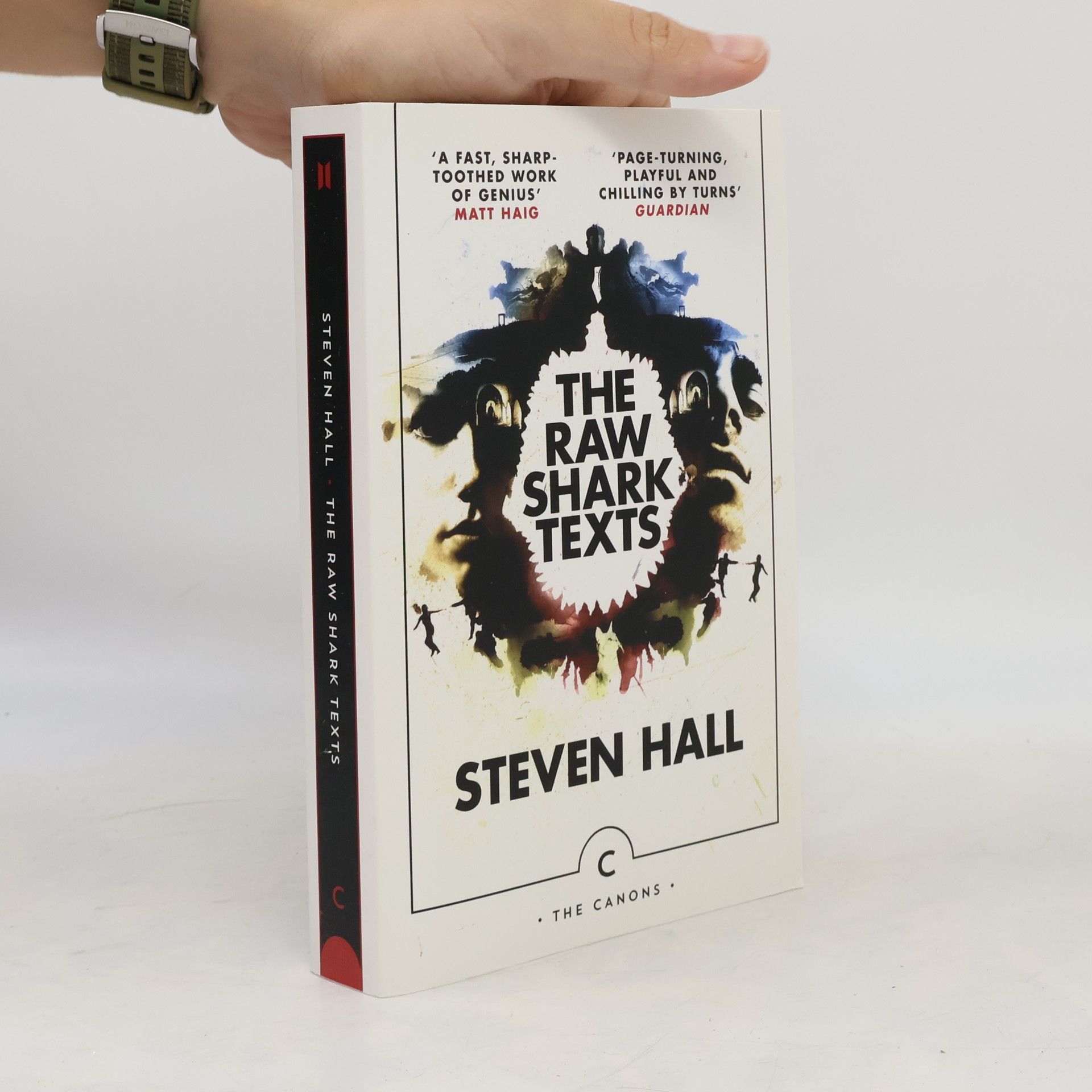 Steven Hall The Raw Shark Texts