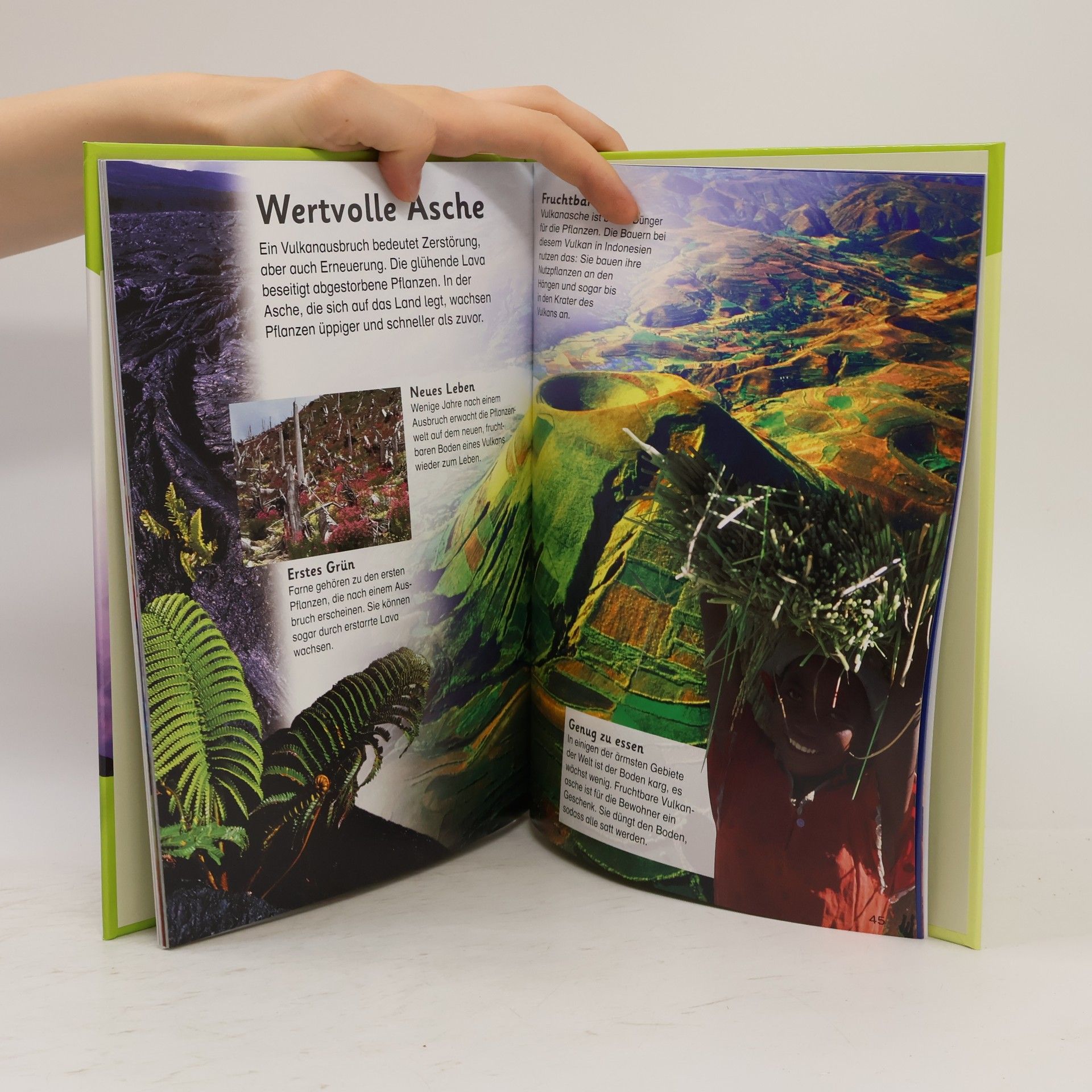 Lisa Magloff Welt der Vulkane