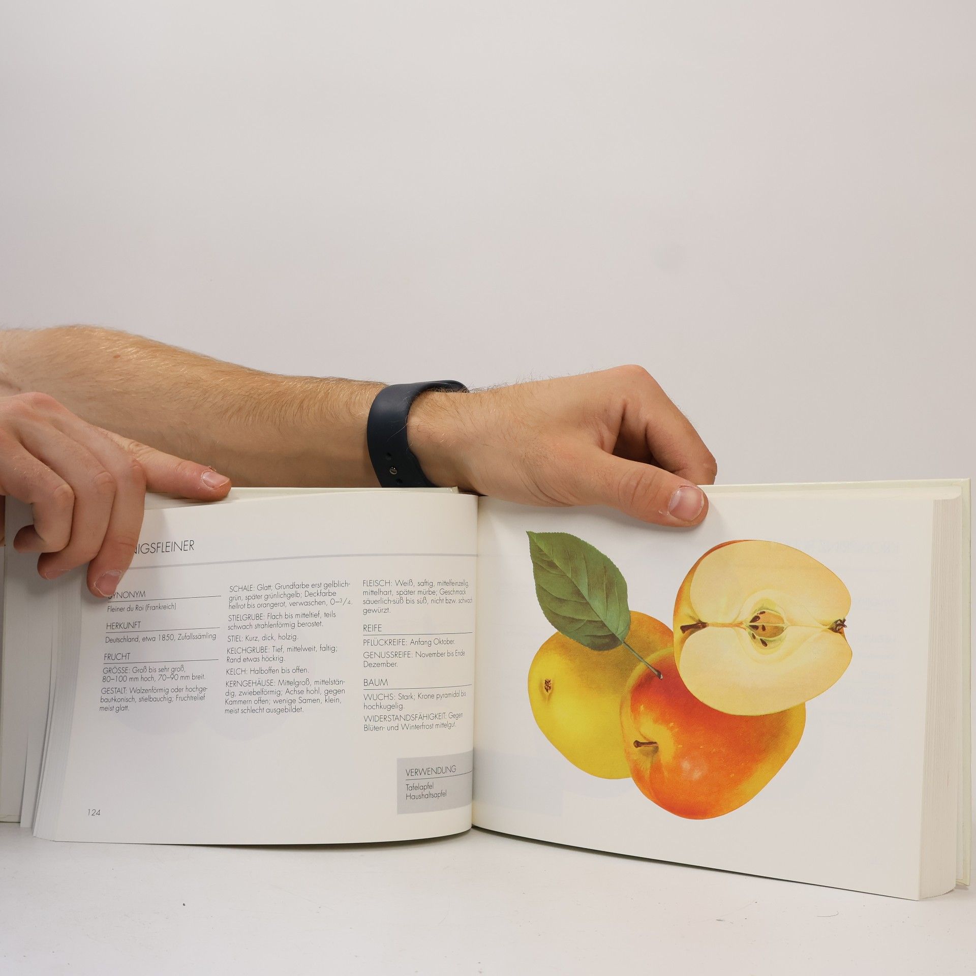 kolektiv Neue alte Obstsorten