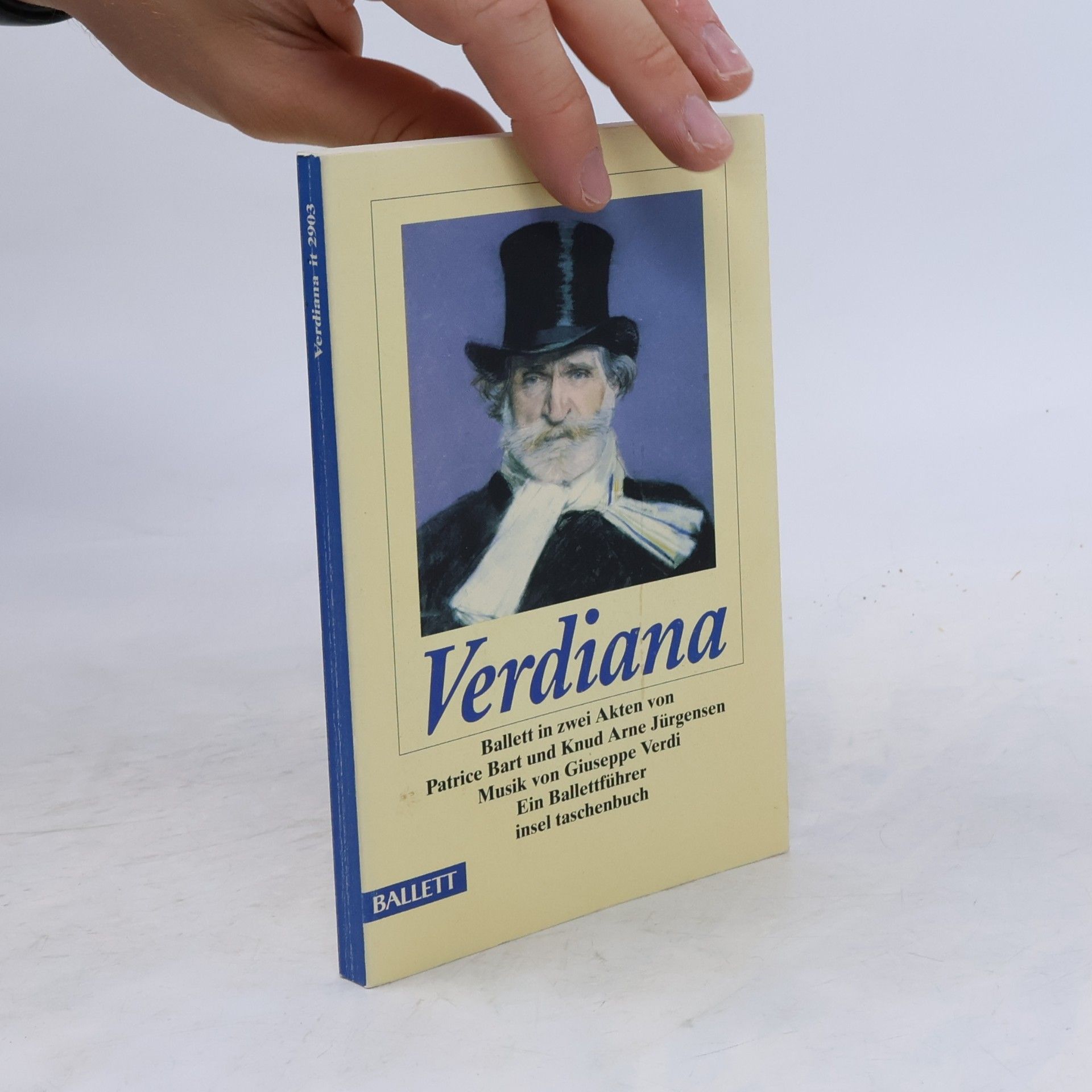 Knud Arne Jürgensen Insel Taschenbuch - 2903: Verdiana
