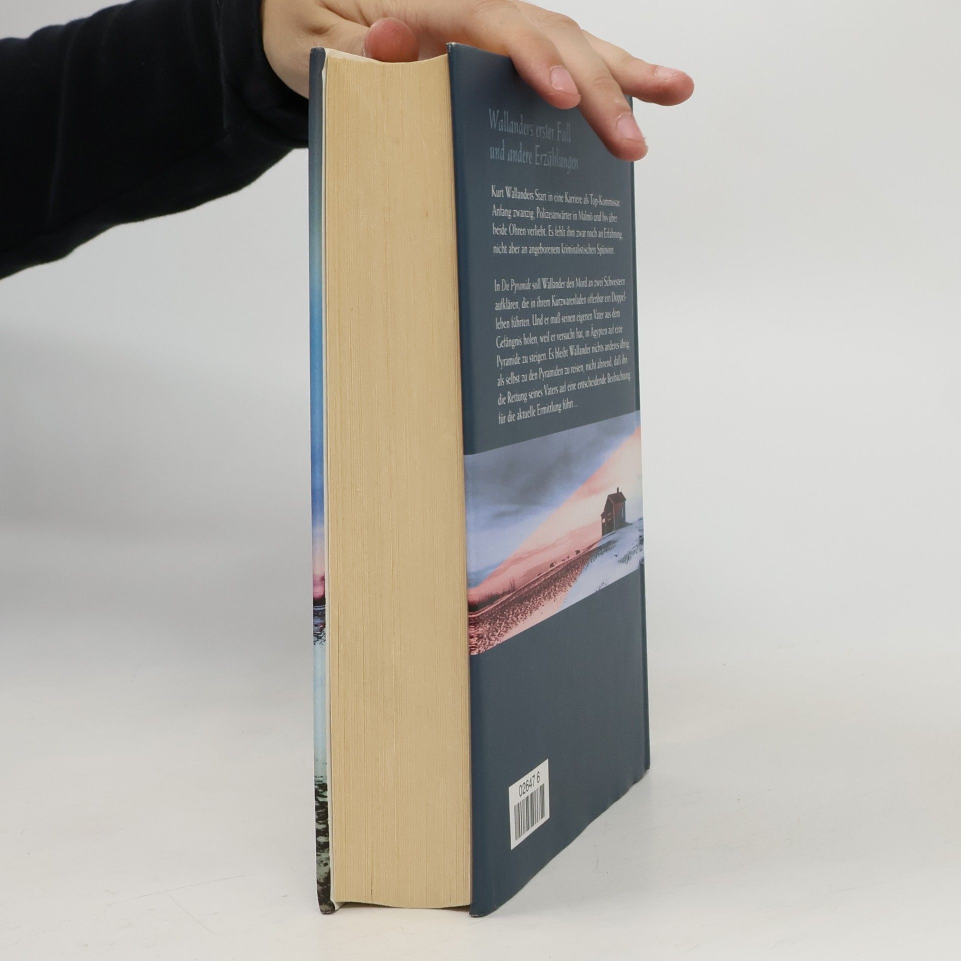 Henning Mankell Wallanders erster Fall
