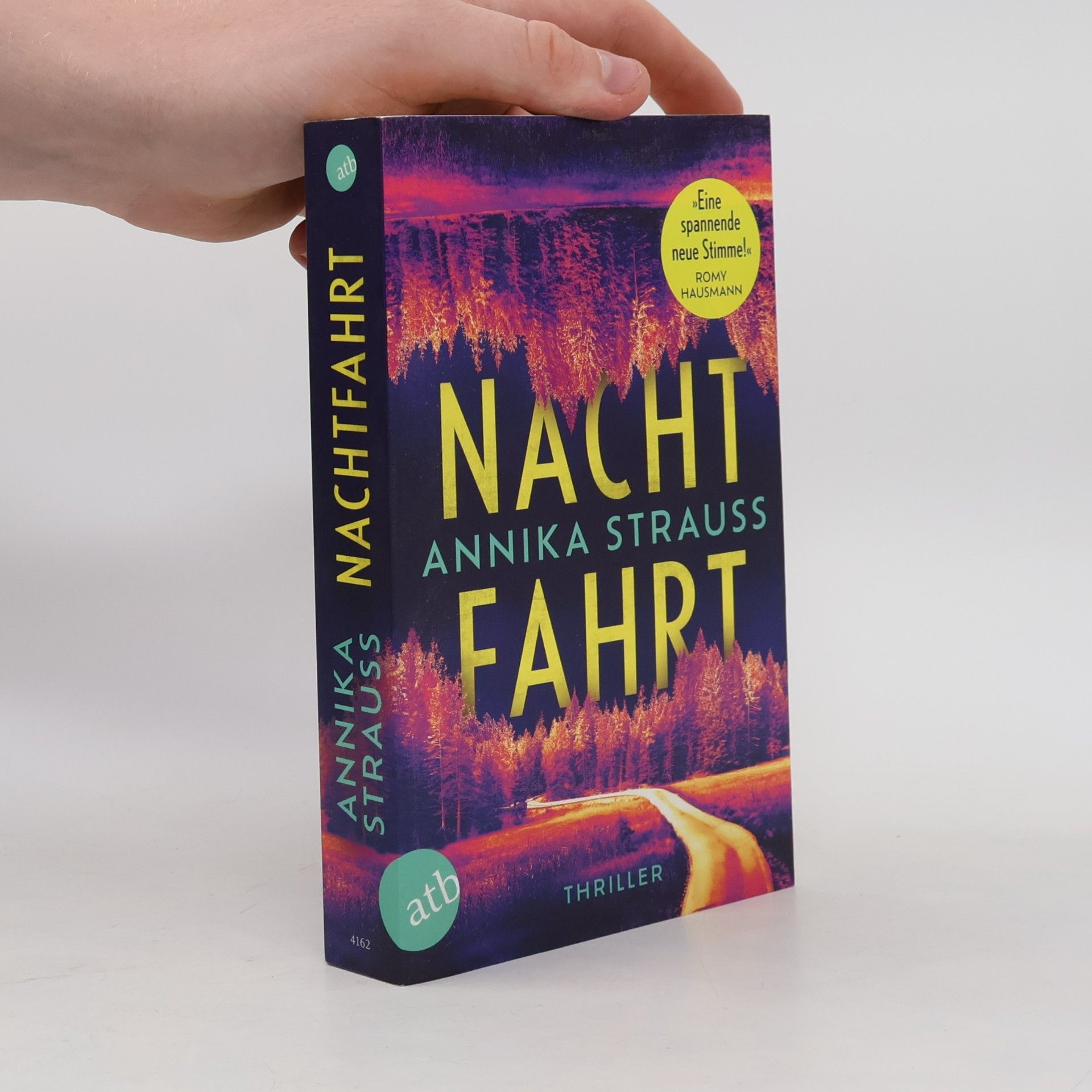 Nachtfahrt