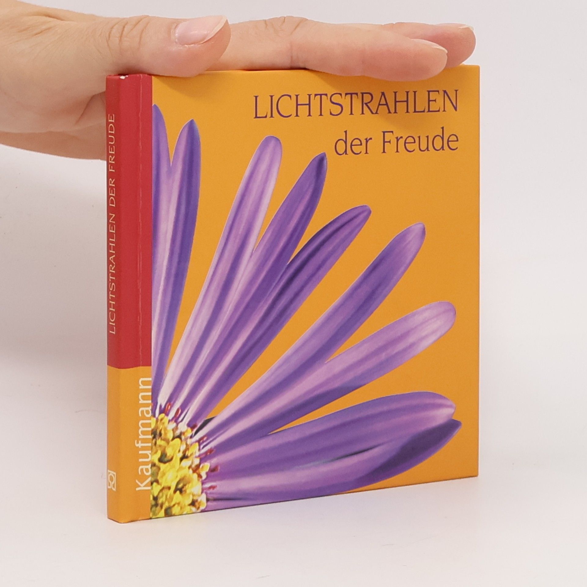 Ruth Bender Lichtstrahlen der Freude
