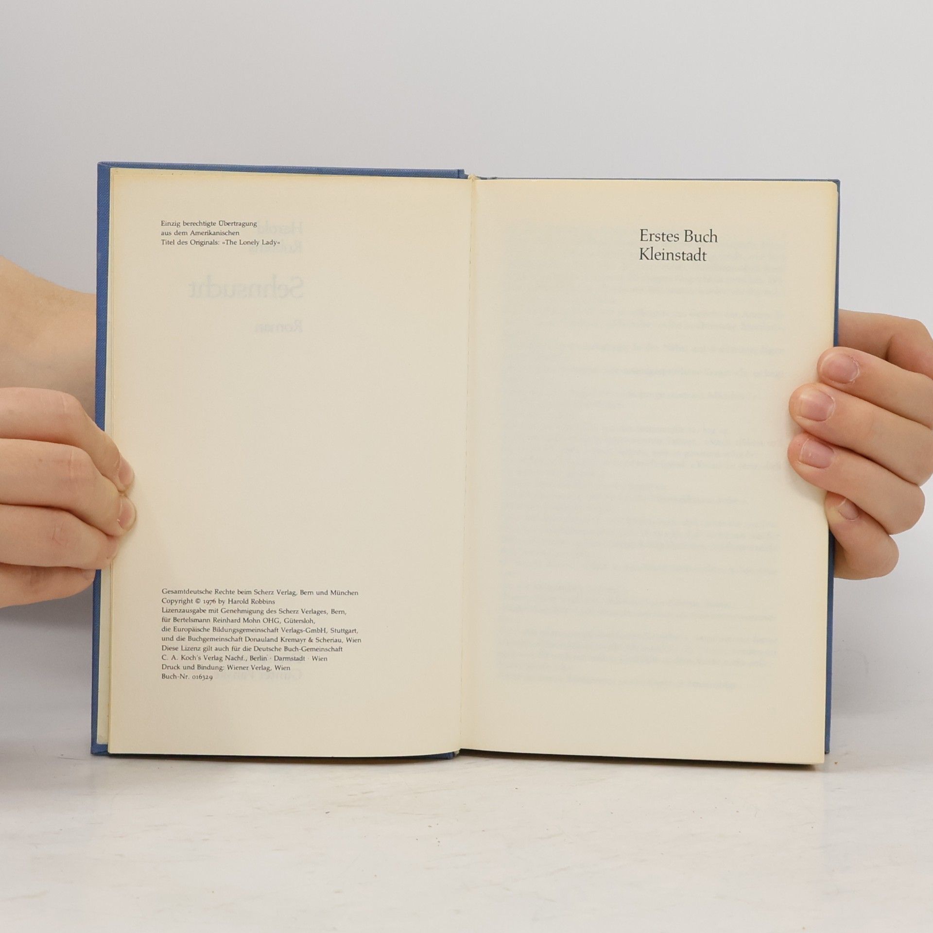 Harold Robbins Sehnsucht